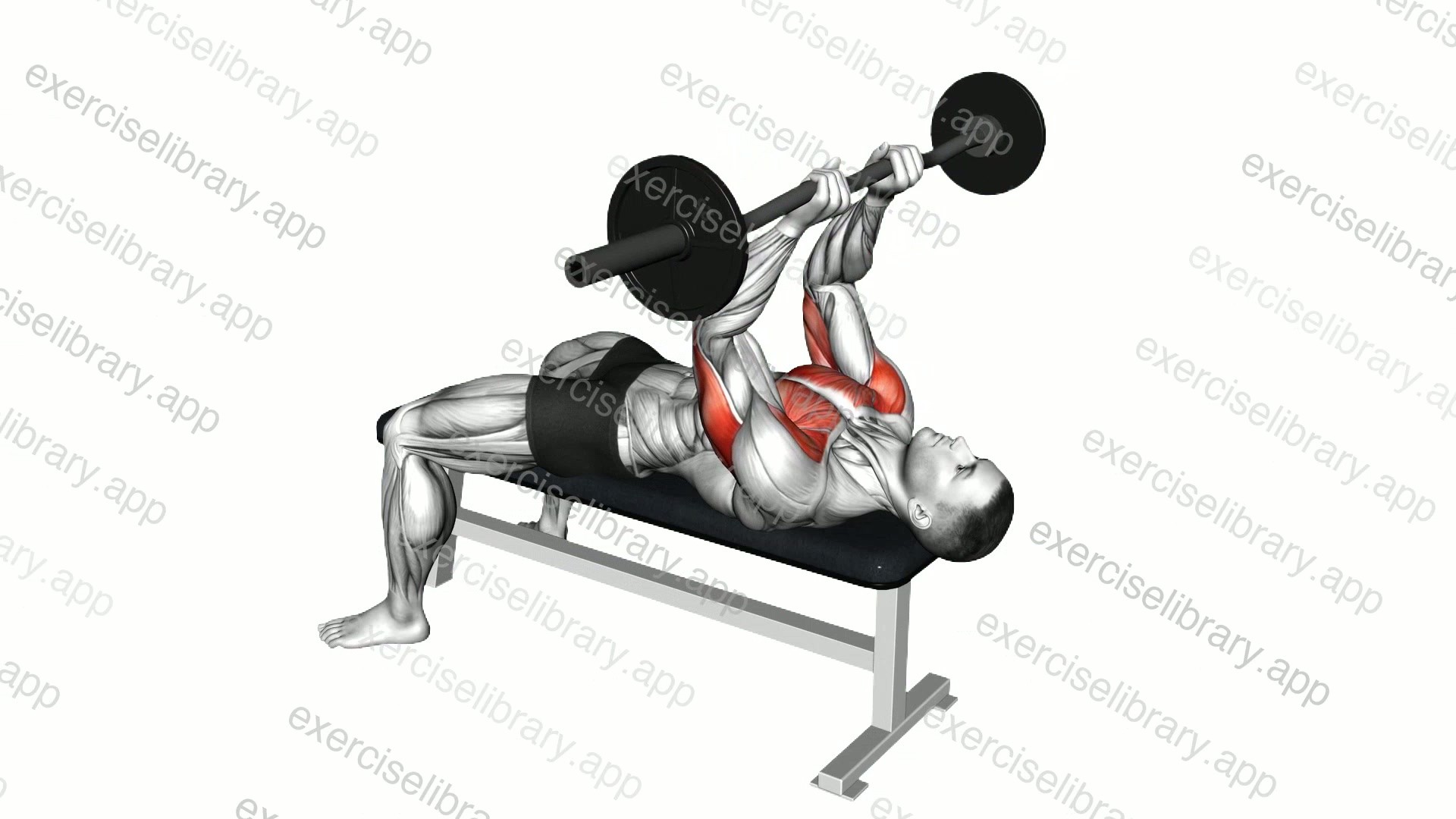 EZ Barbell JM Bench Press demonstration