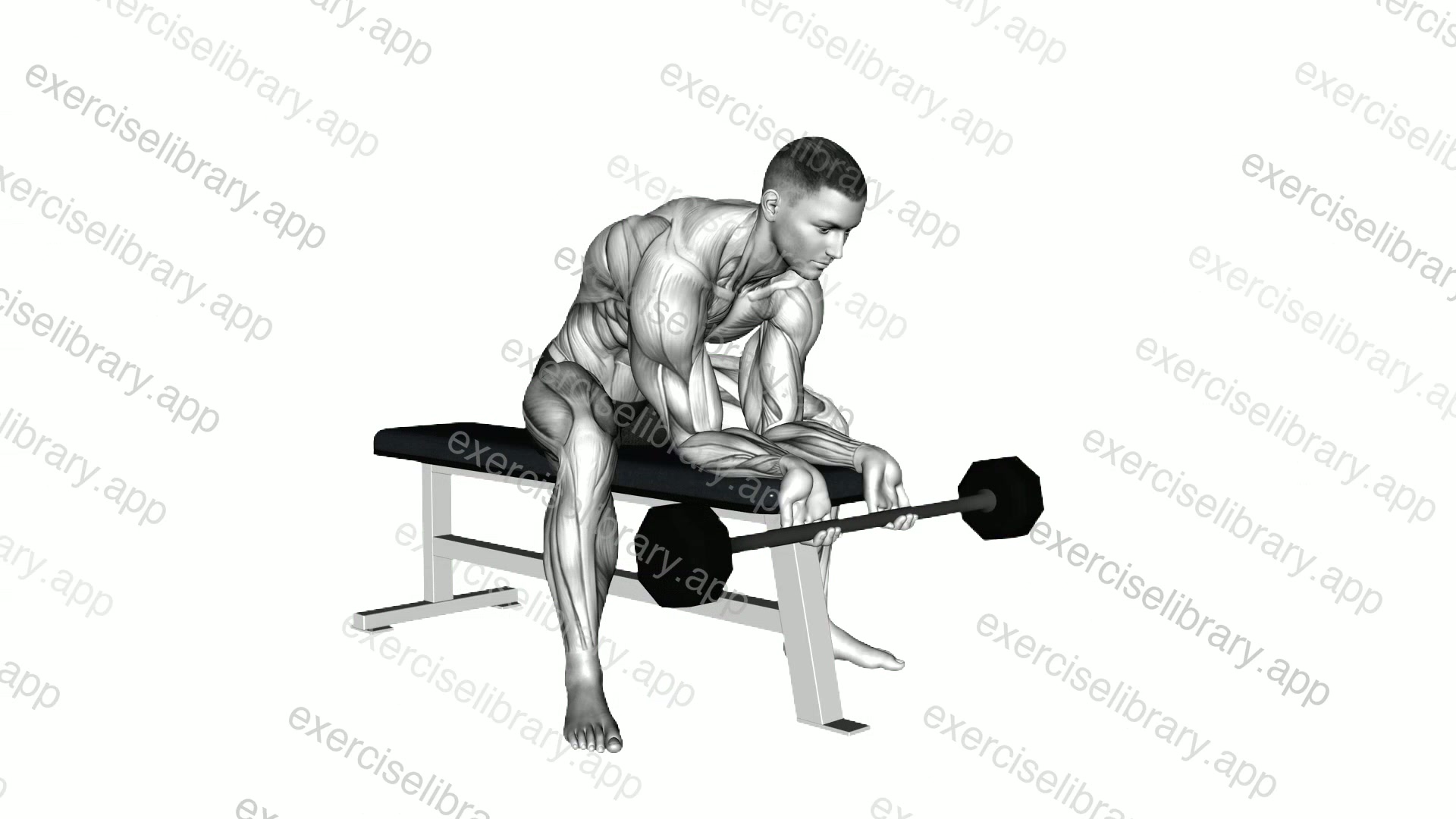 Barbell Finger Curls demonstration