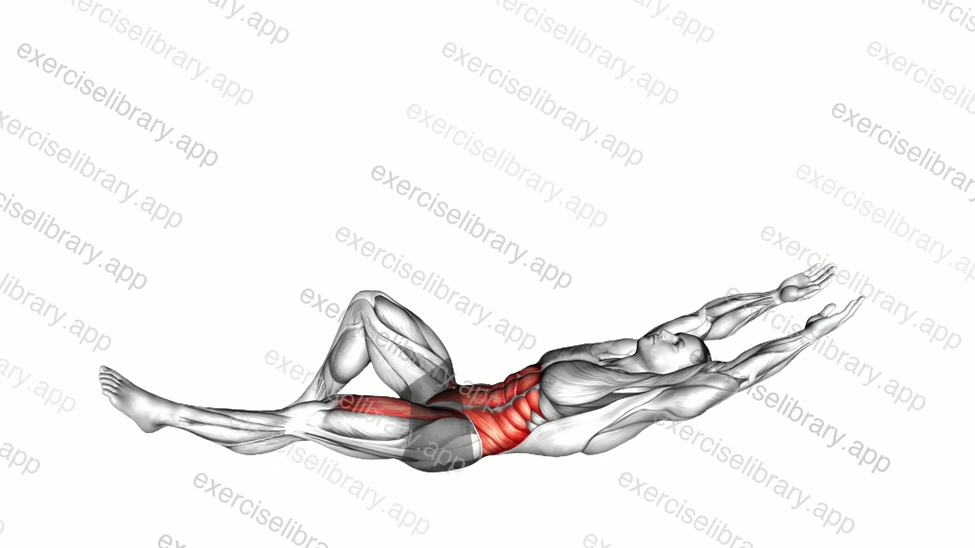 Flexion Leg Sit-up demonstration