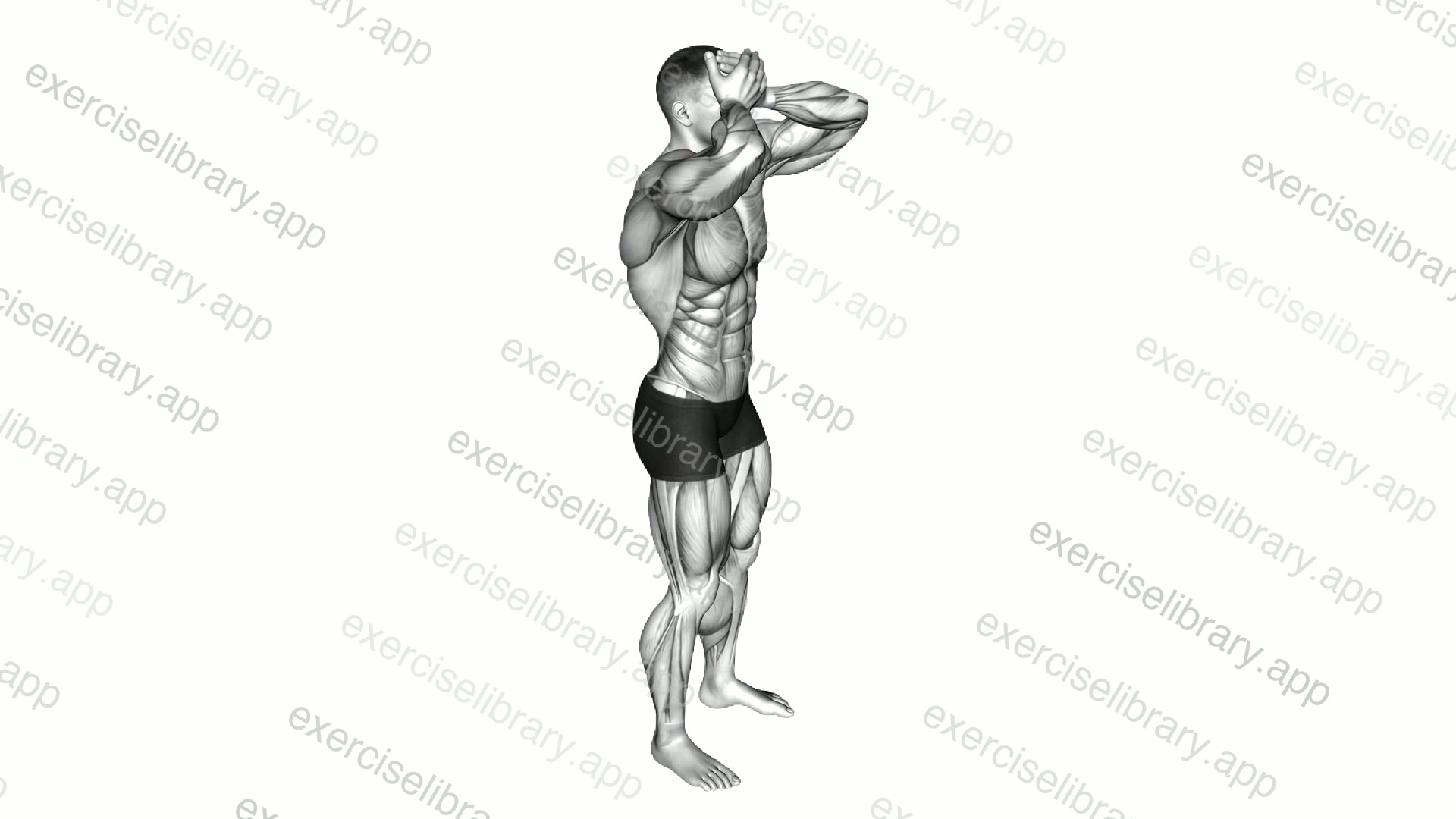 Front and Back Neck Stretch demonstration