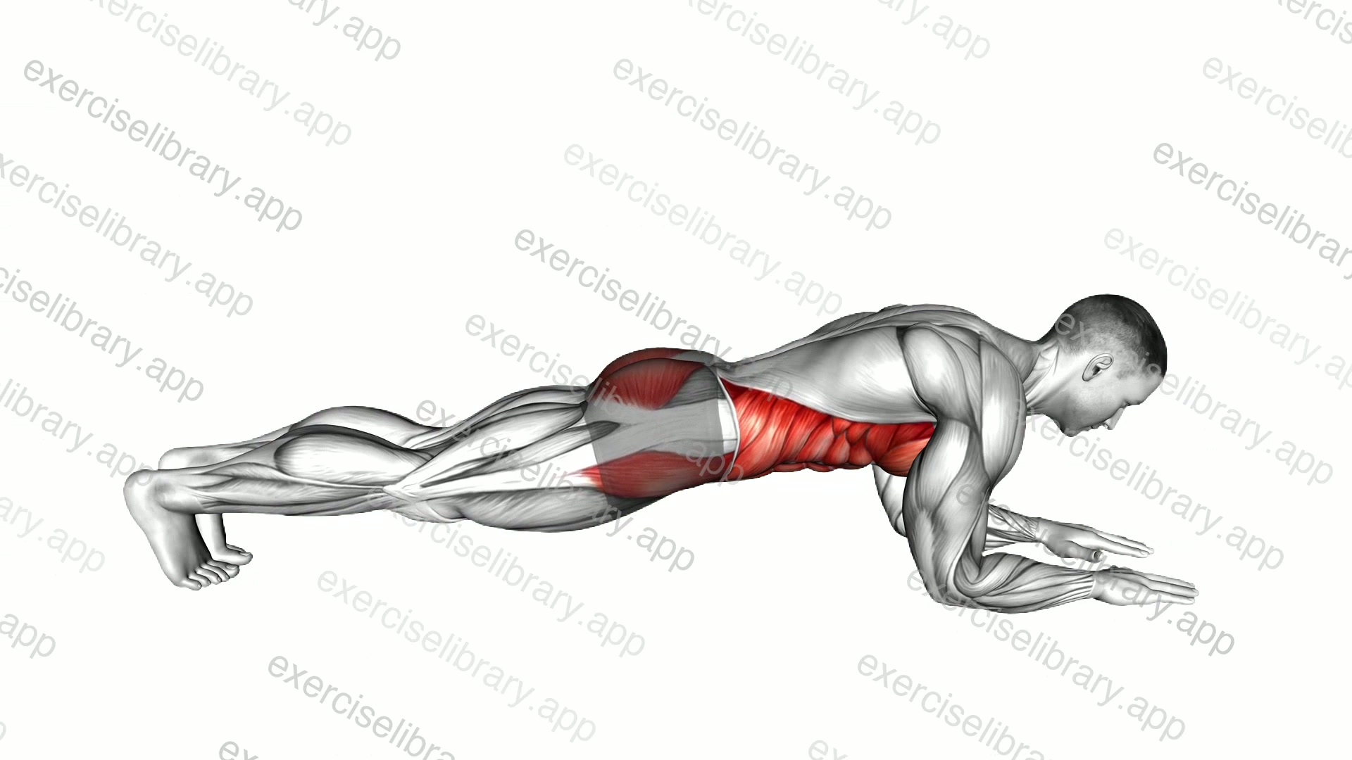 Front Plank demonstration
