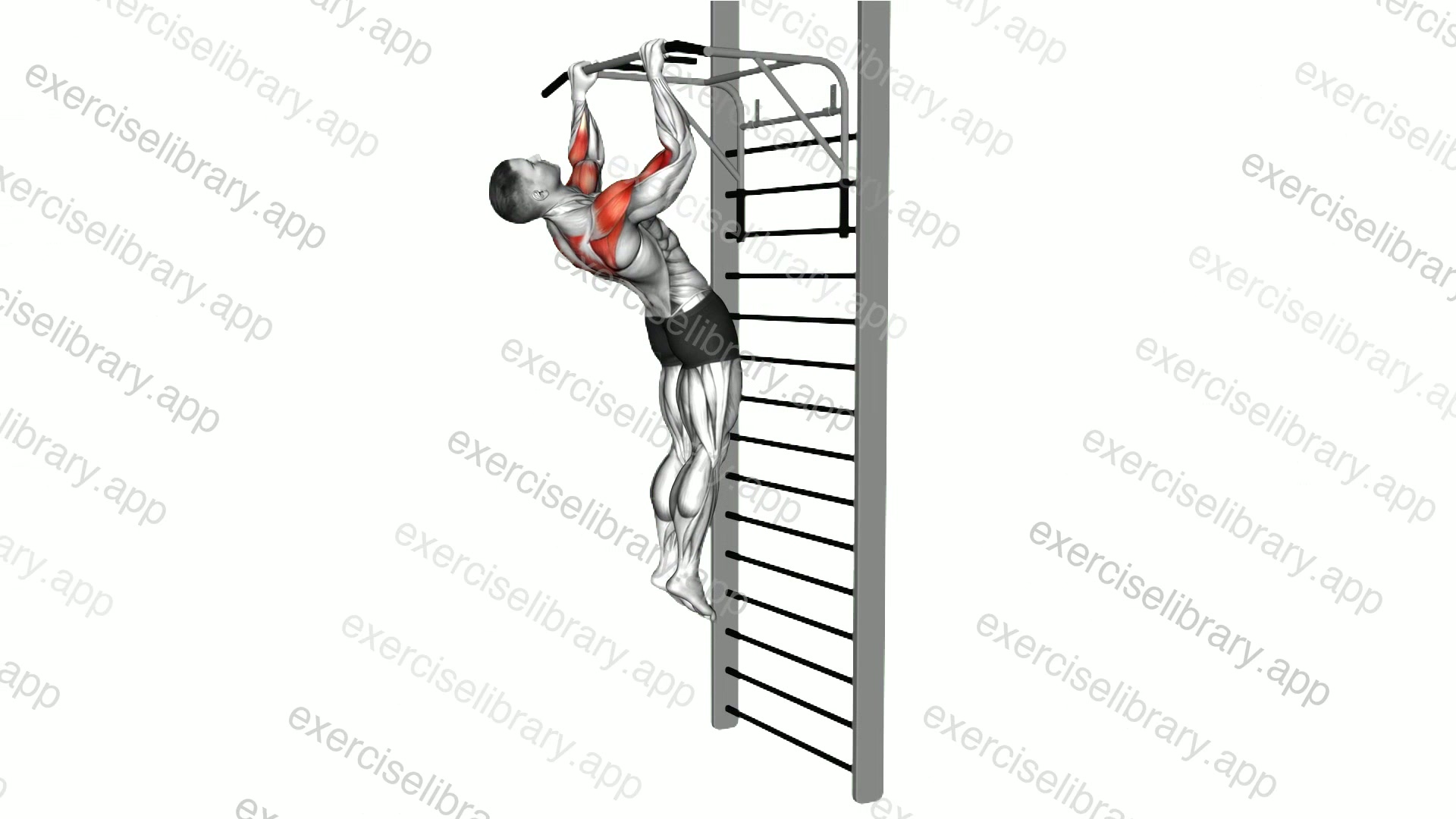 Sternum Pull-up demonstration