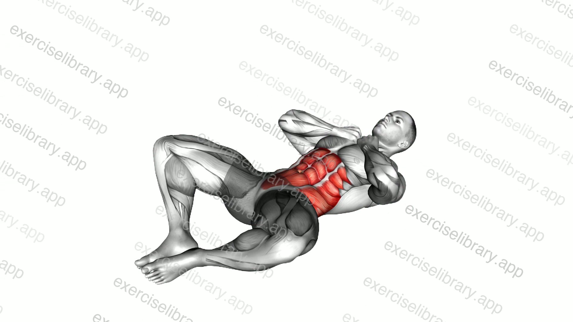 Groin Crunch demonstration