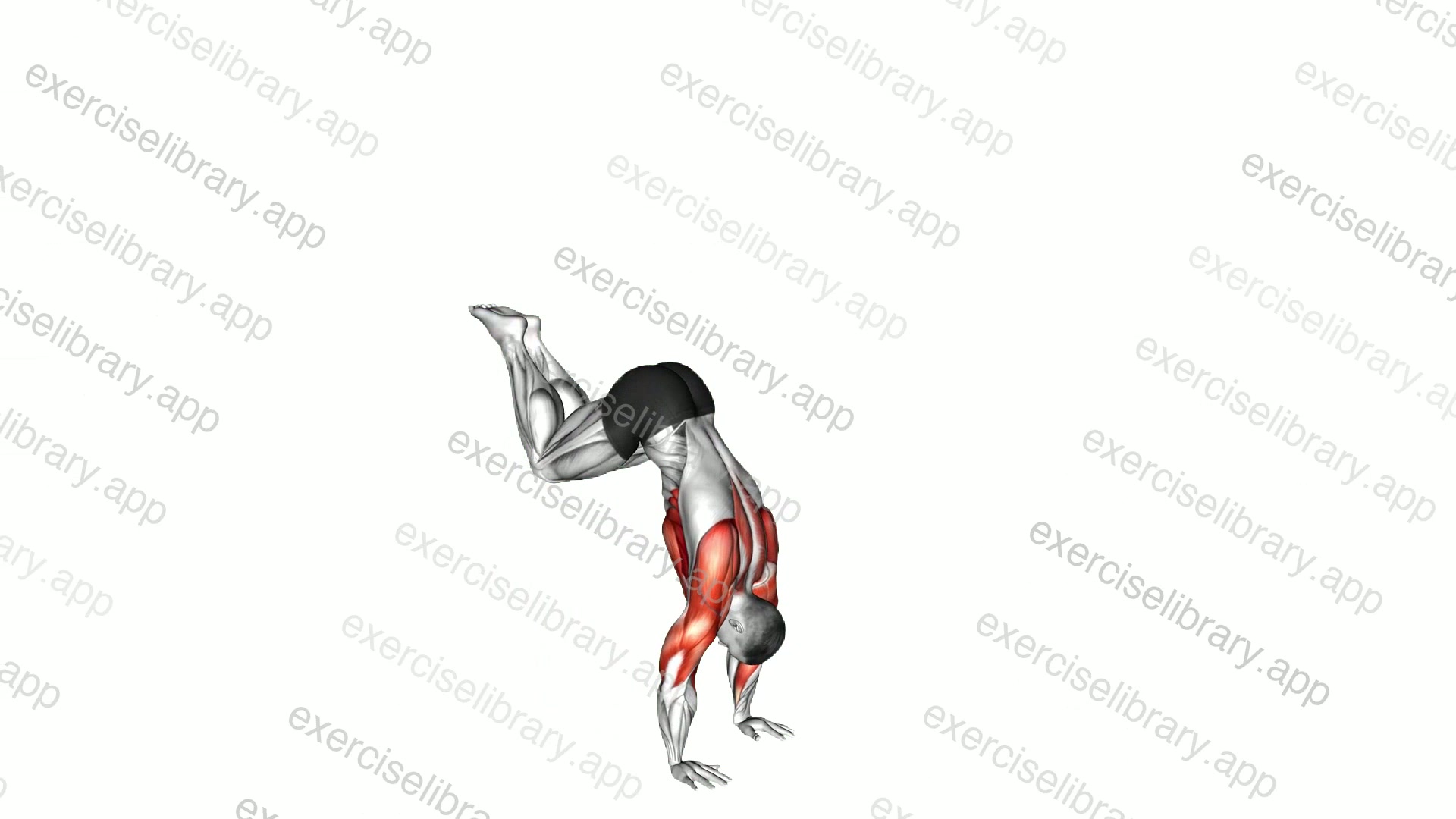 Handstand Push-up demonstration