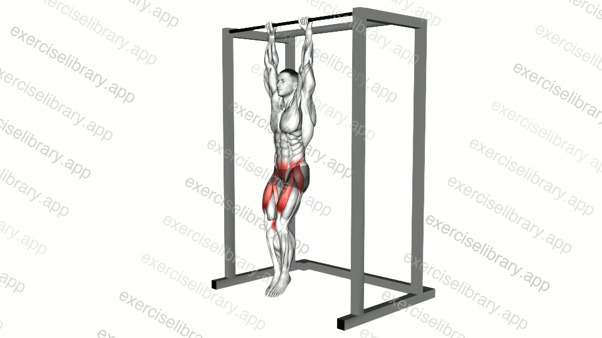 Hanging Leg Raise demonstration