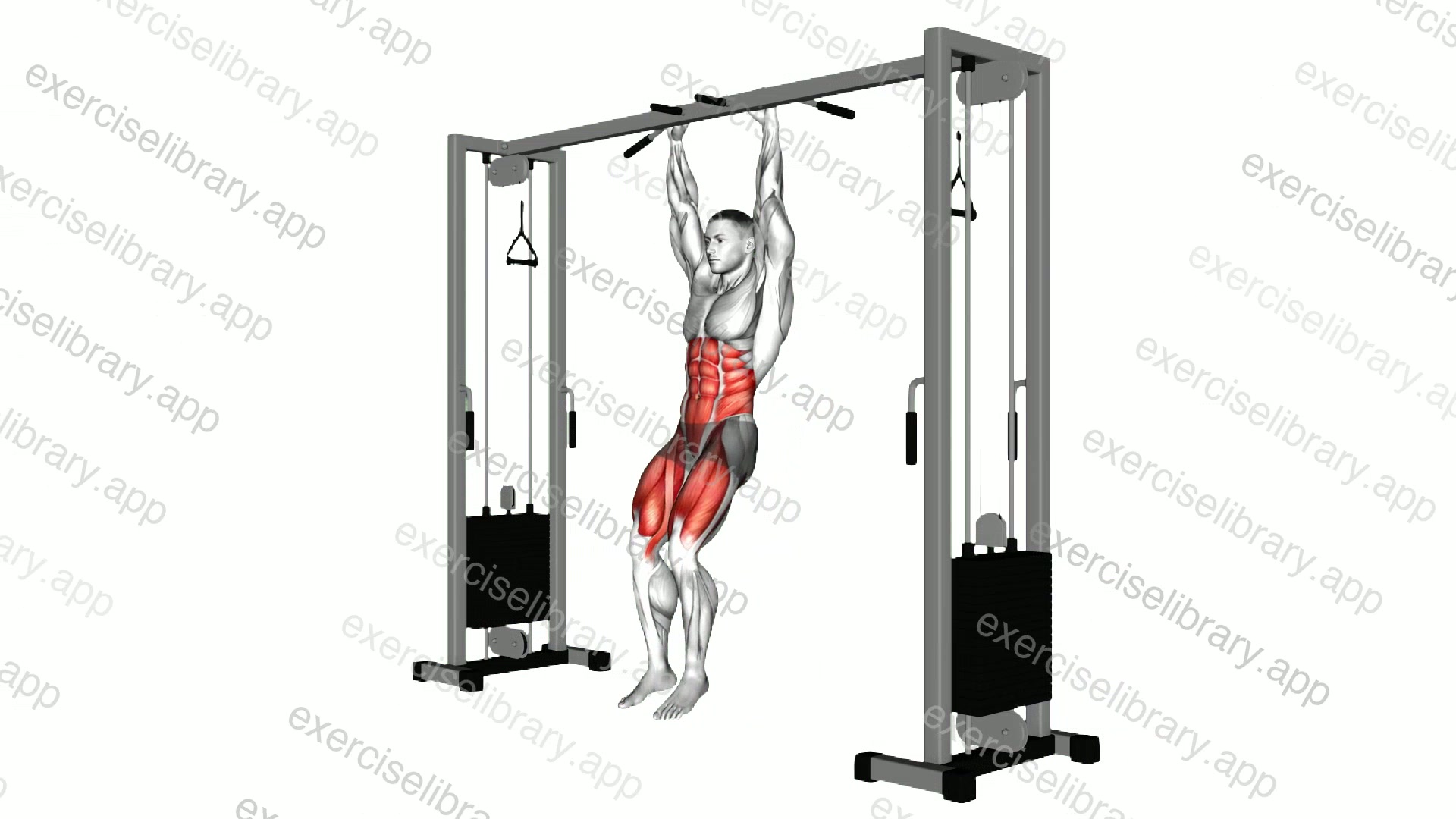 Hanging Straight Leg Hip Raise demonstration