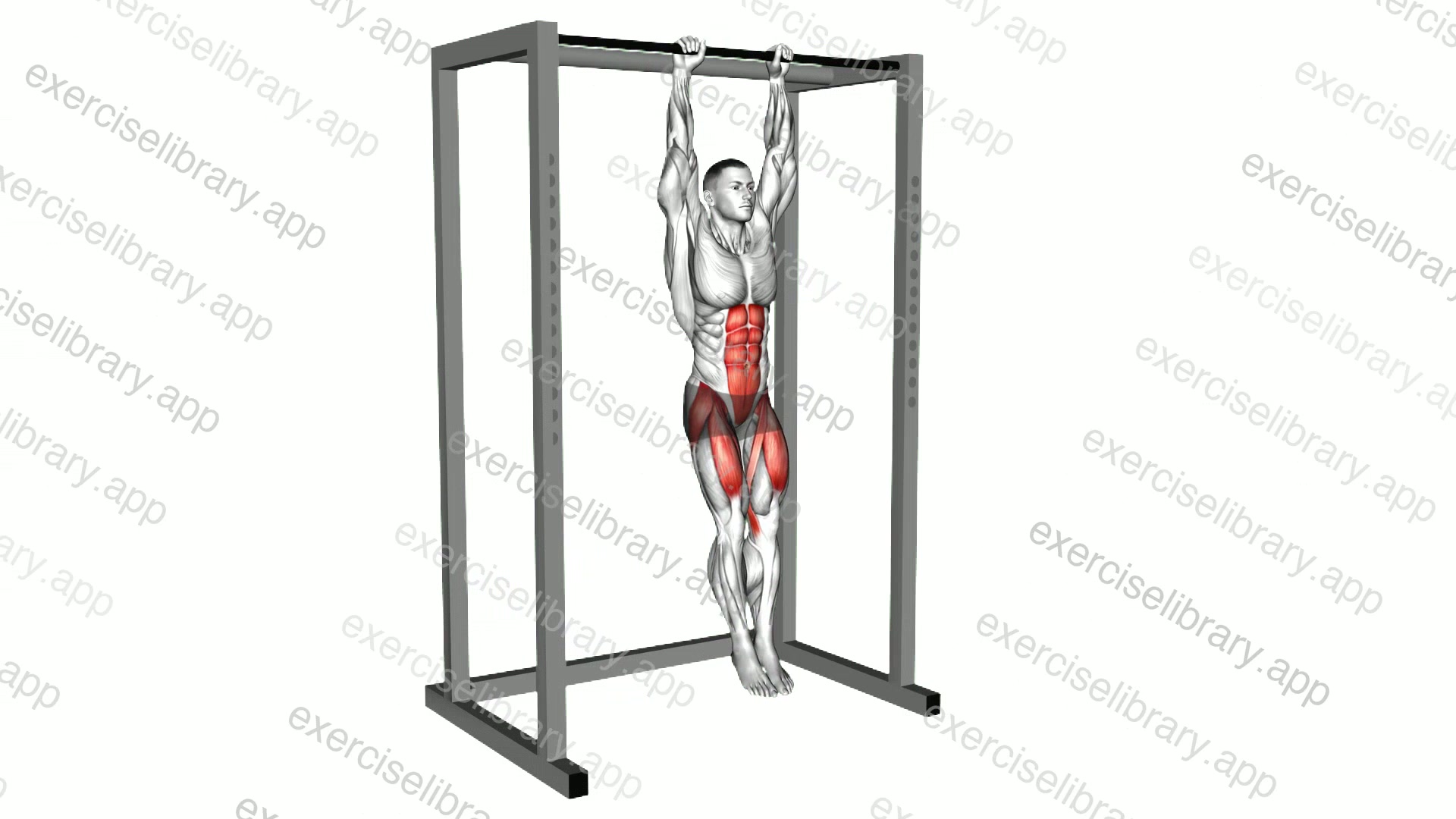 Hanging Straight Leg Raise demonstration
