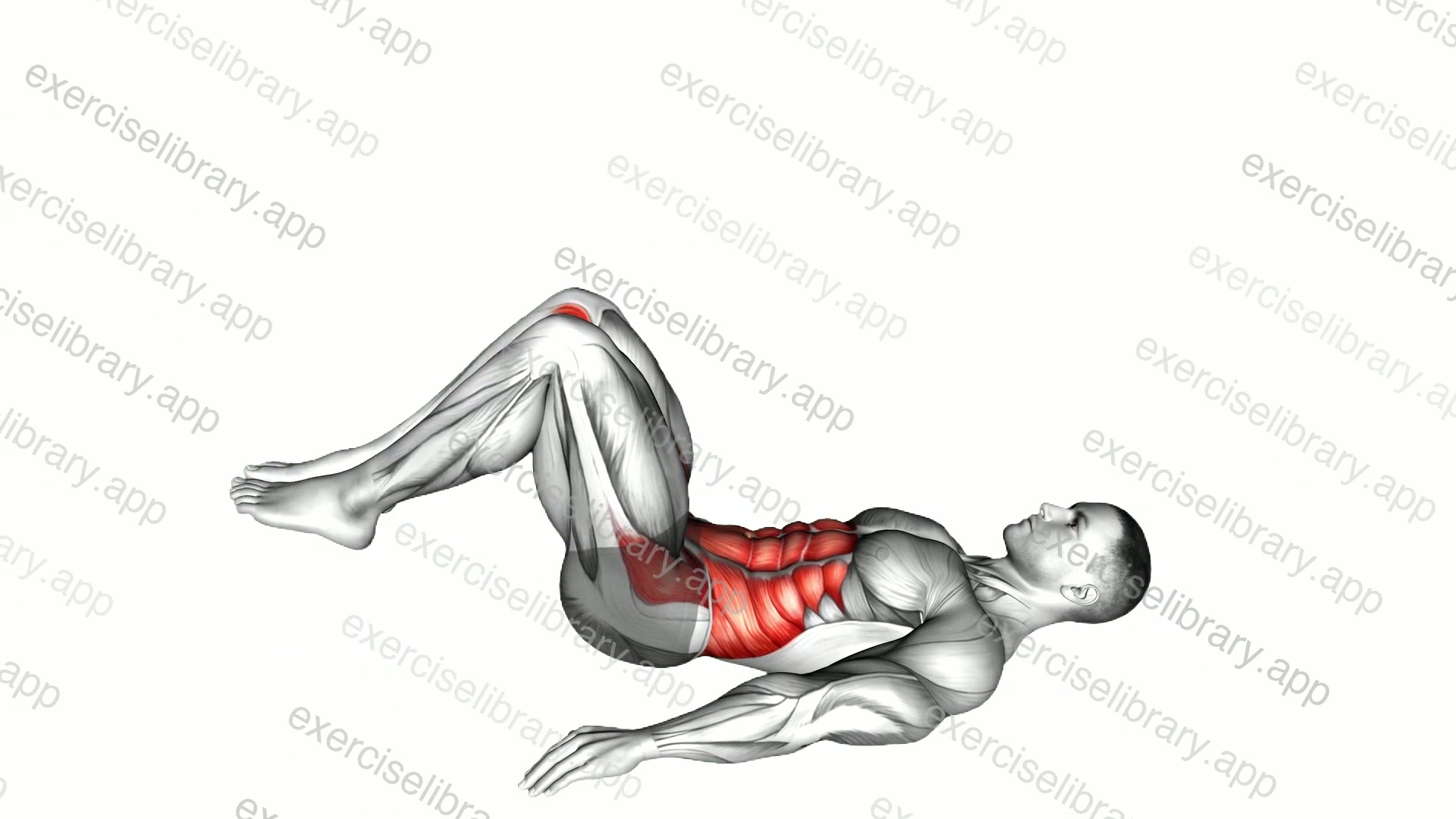 Hip Raise demonstration