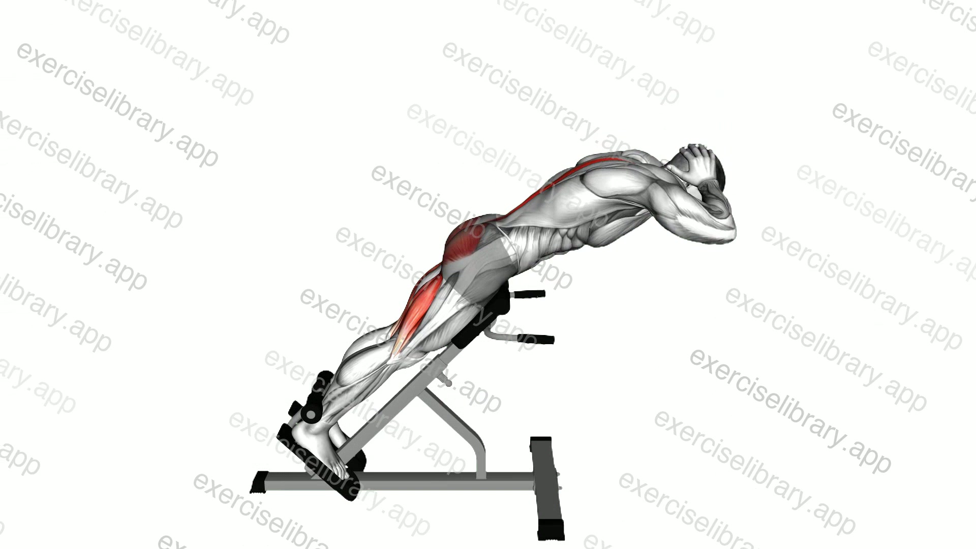 Hyperextension demonstration