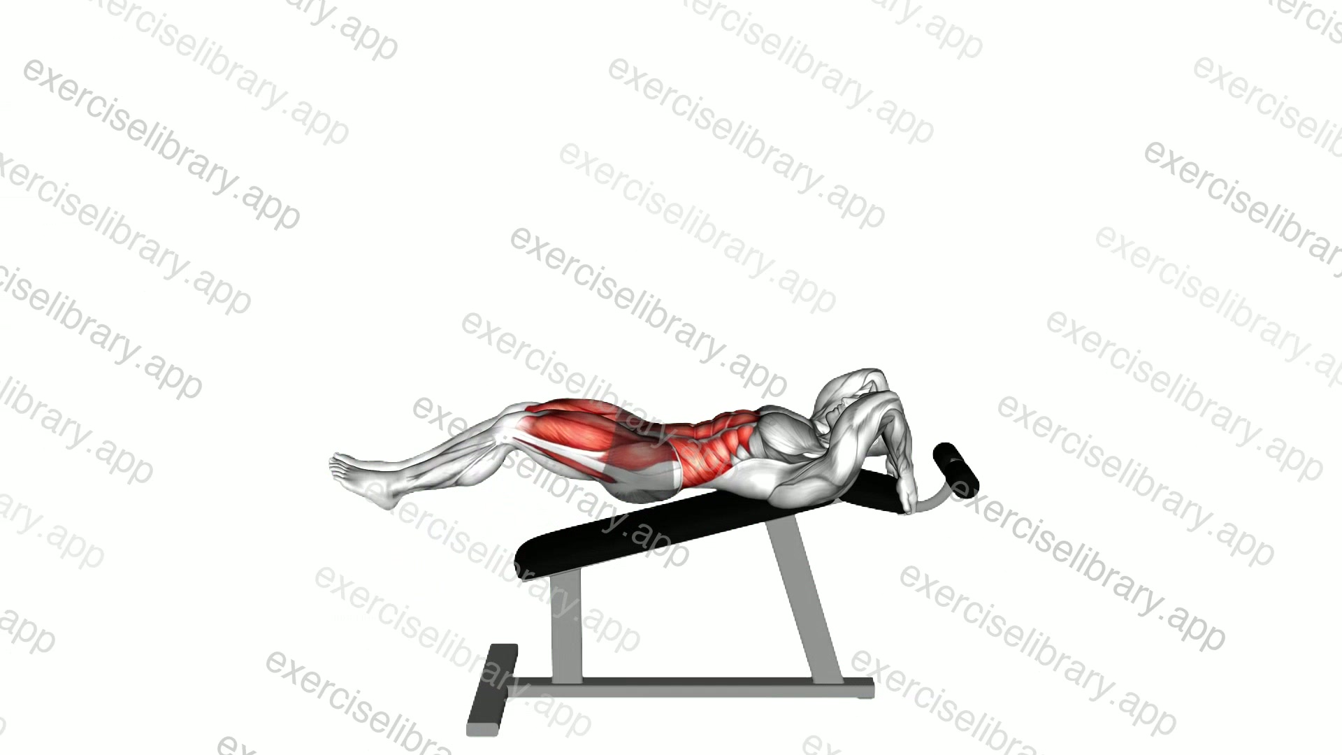 Incline Leg Hip Raise demonstration