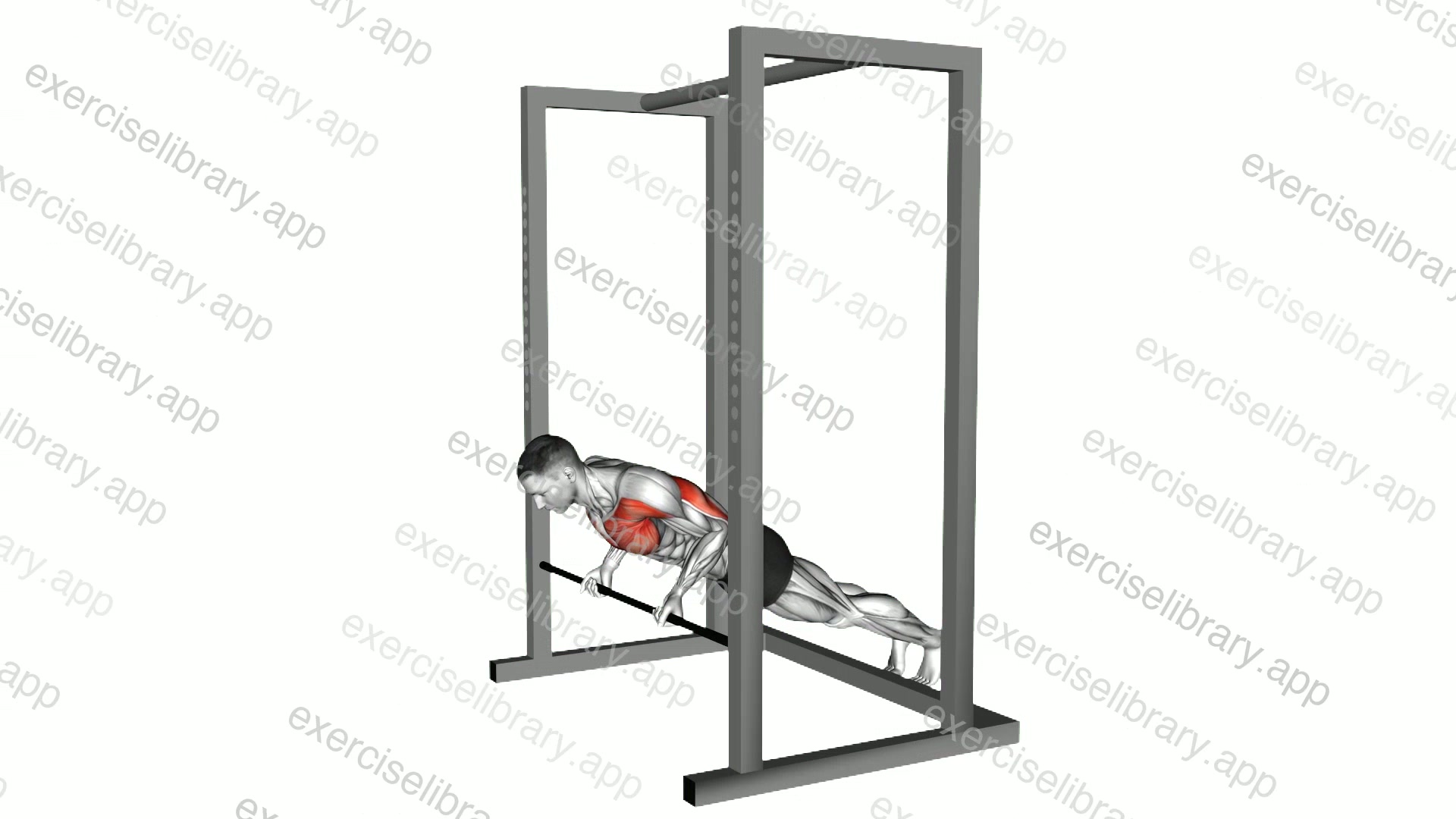 Incline Reverse Grip Push Up demonstration
