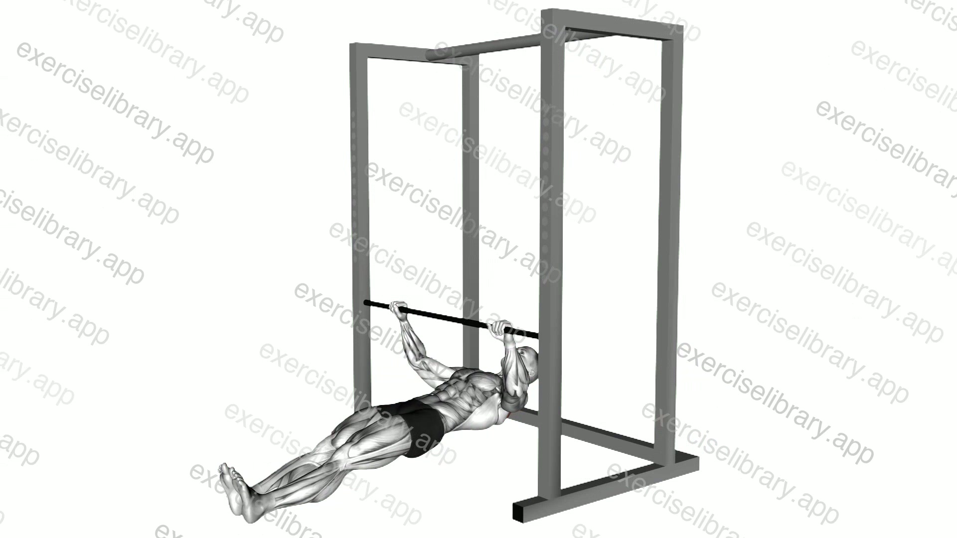 Inverted Row demonstration