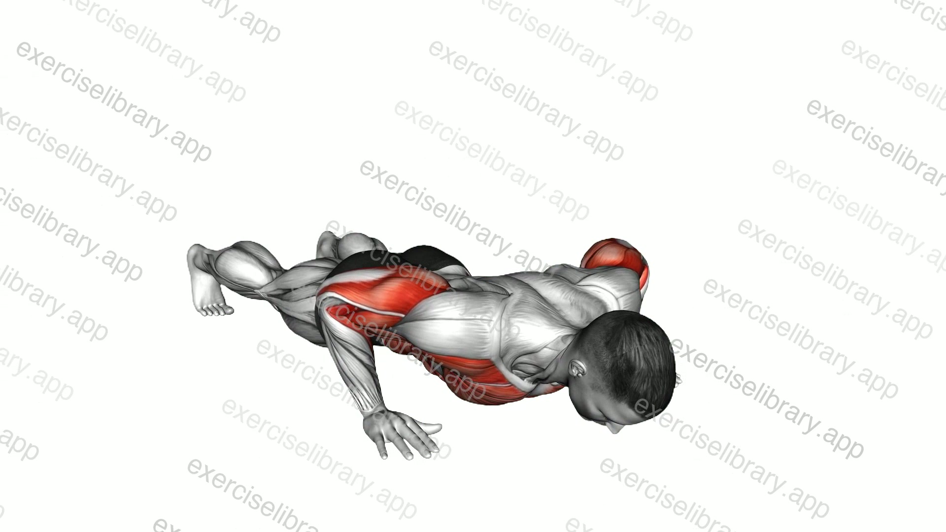 Isometric Wipers demonstration
