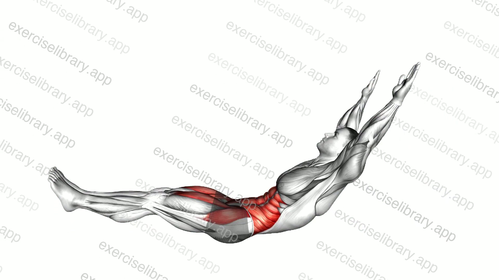 Jackknife Sit Up demonstration