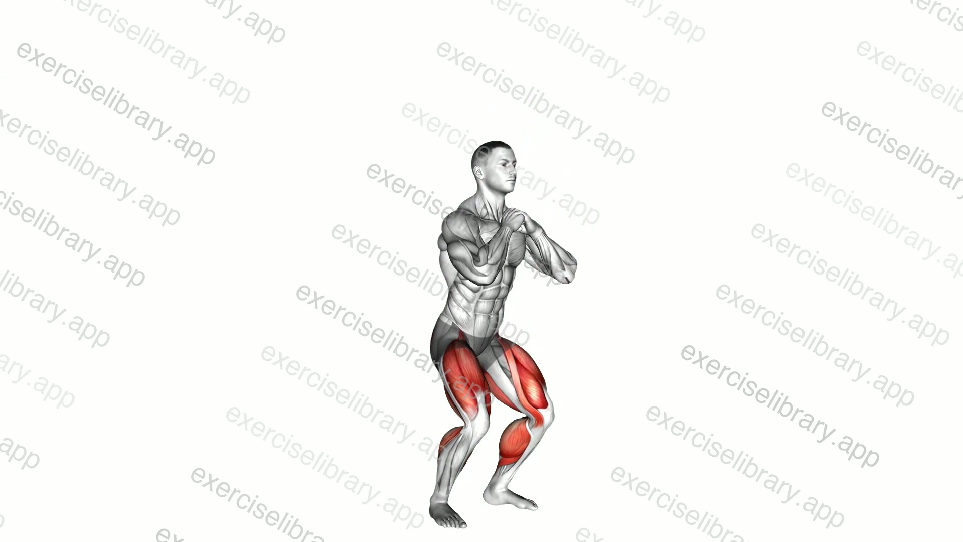 Jump Squat demonstration