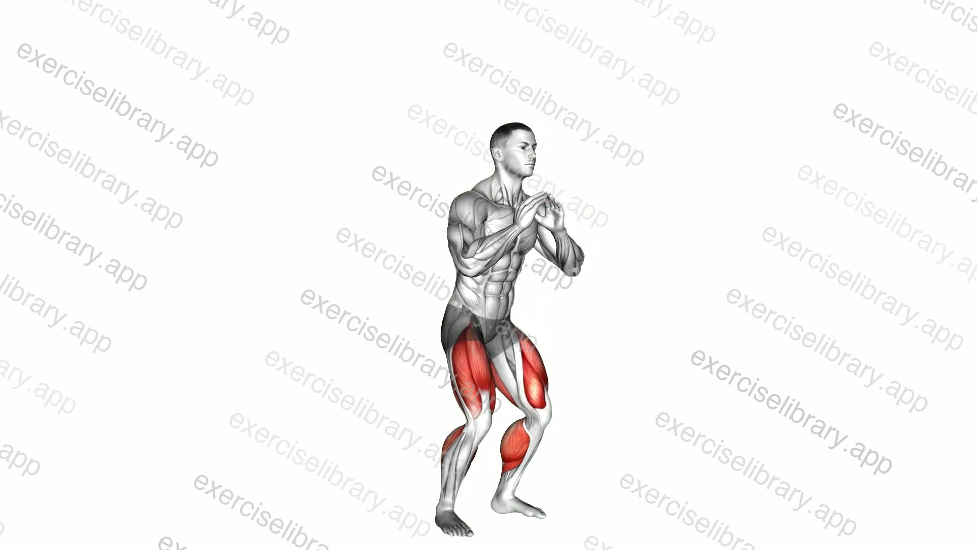 Jump Squat demonstration