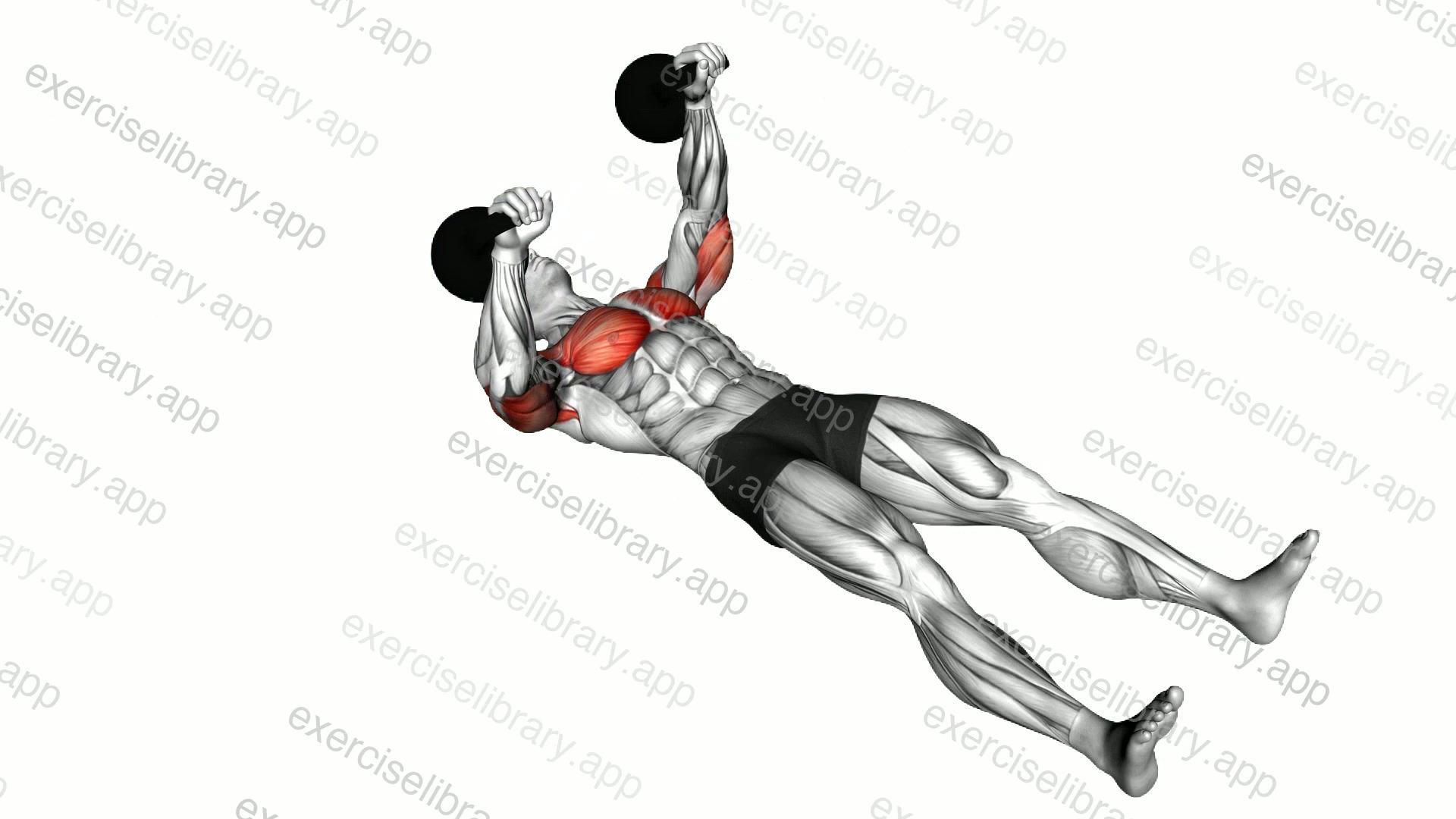 Kettlebell Alternating Press on Floor demonstration