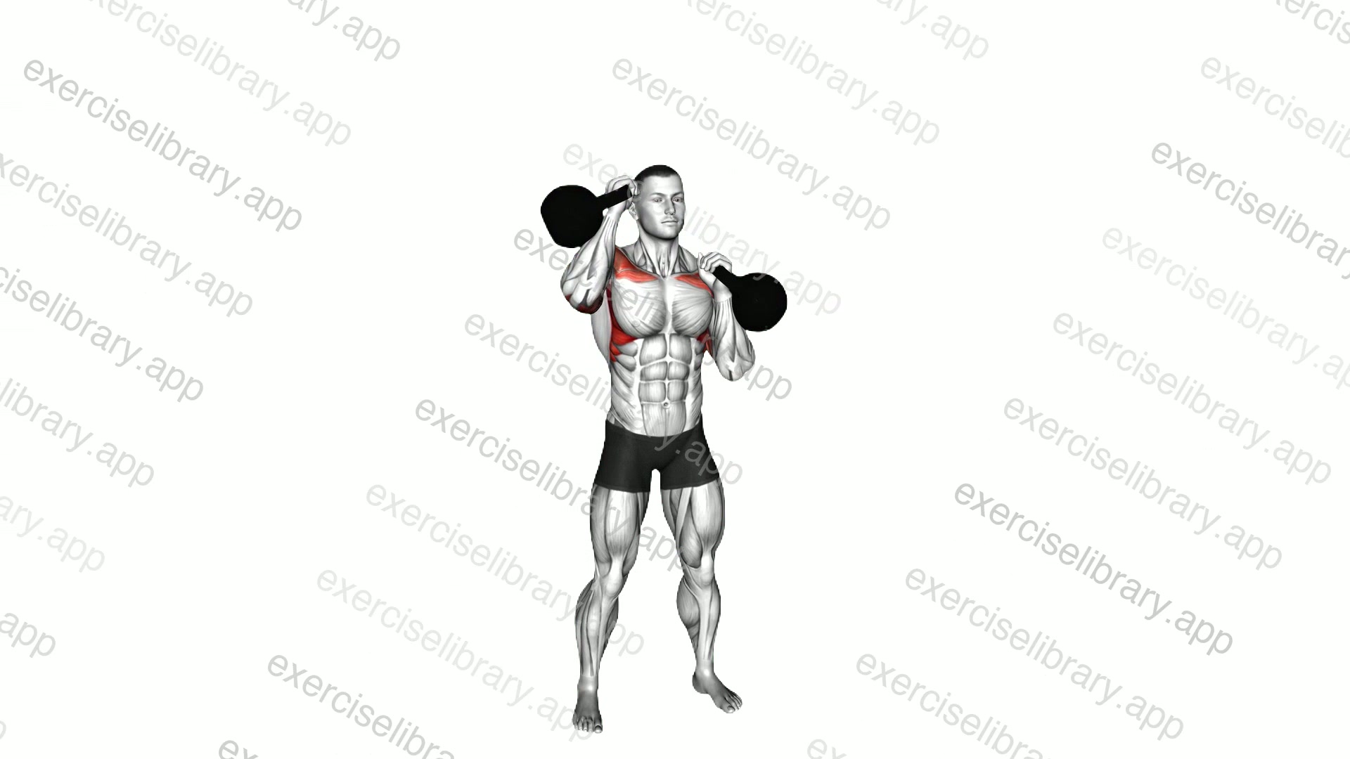 Kettlebell Alternating Press demonstration