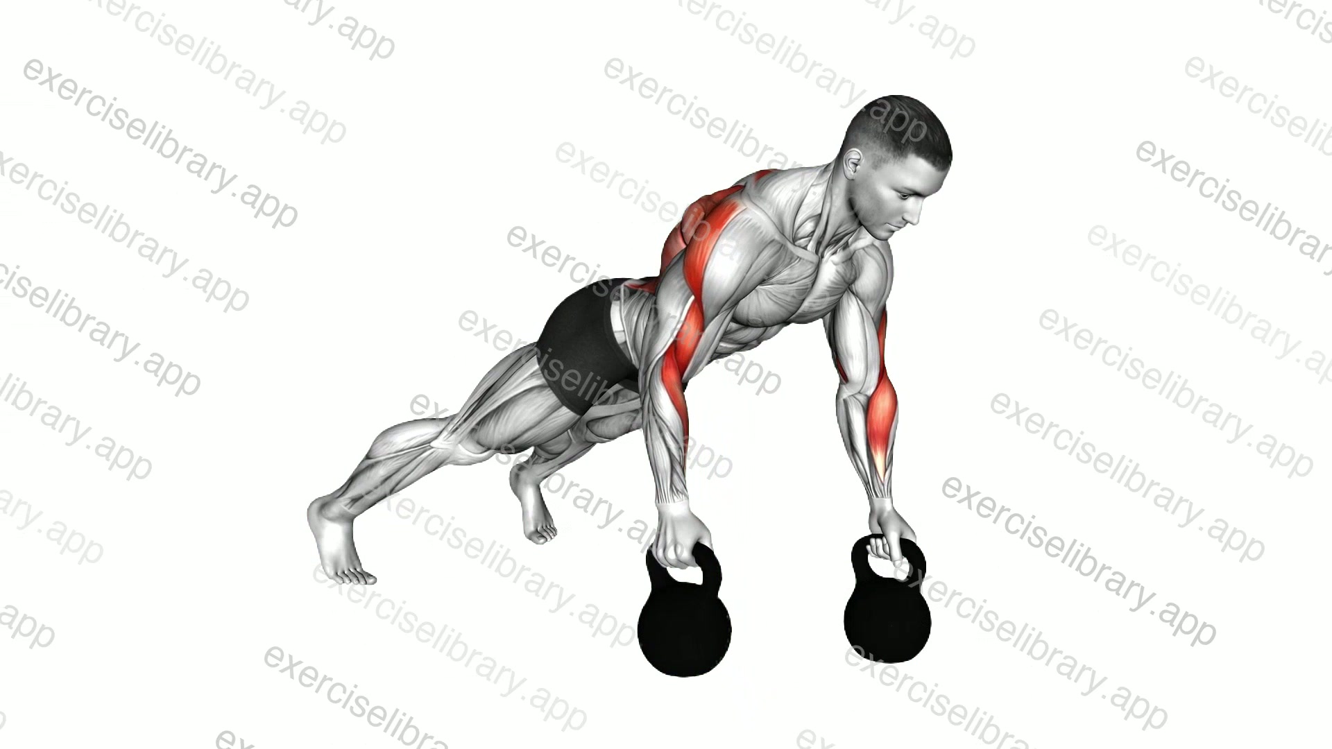 Kettlebell Alternating Renegade Row demonstration