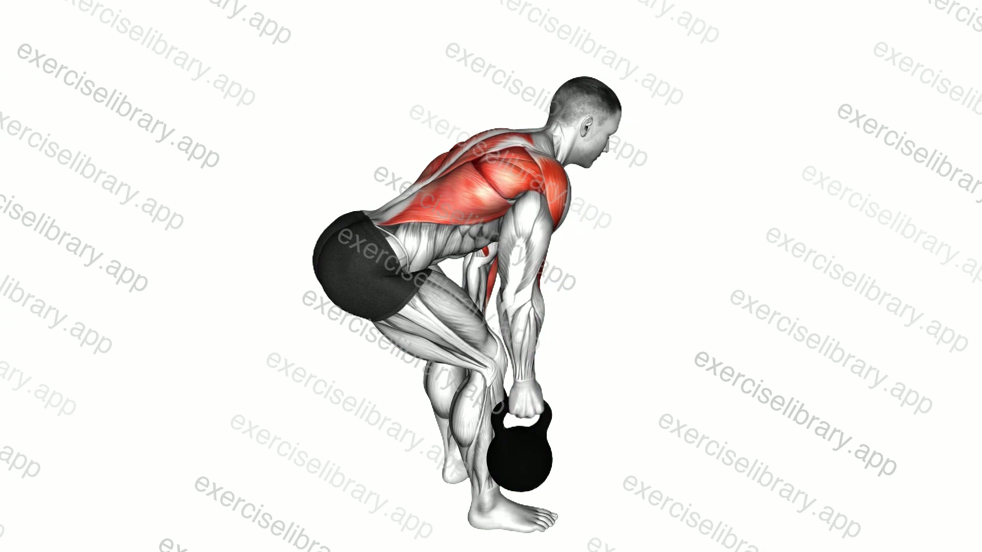 Kettlebell Alternating Row demonstration