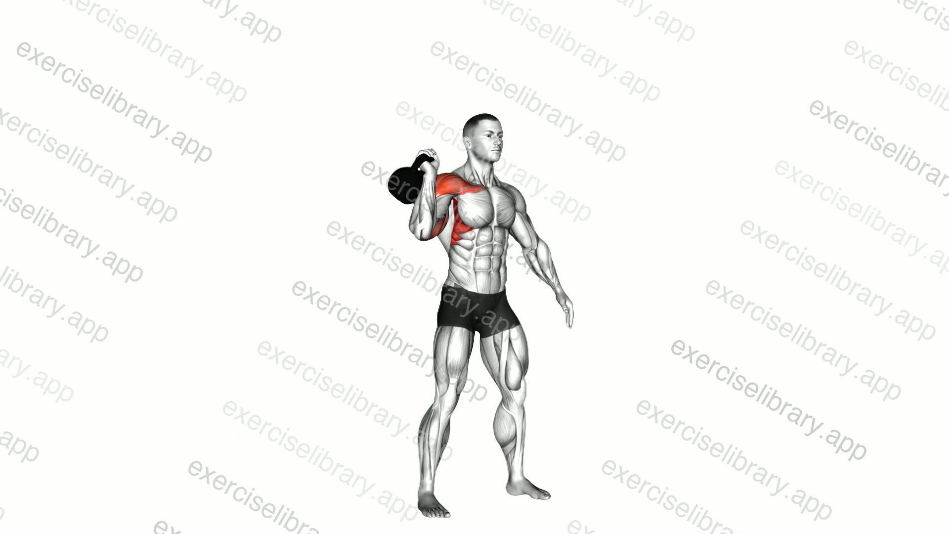 Kettlebell Arnold Press demonstration