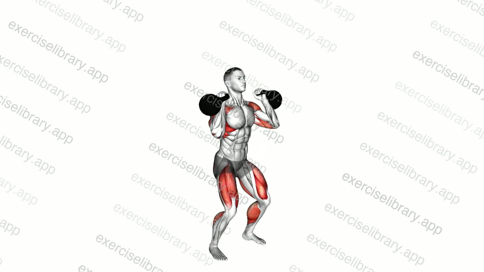 Kettlebell Double Jerk demonstration