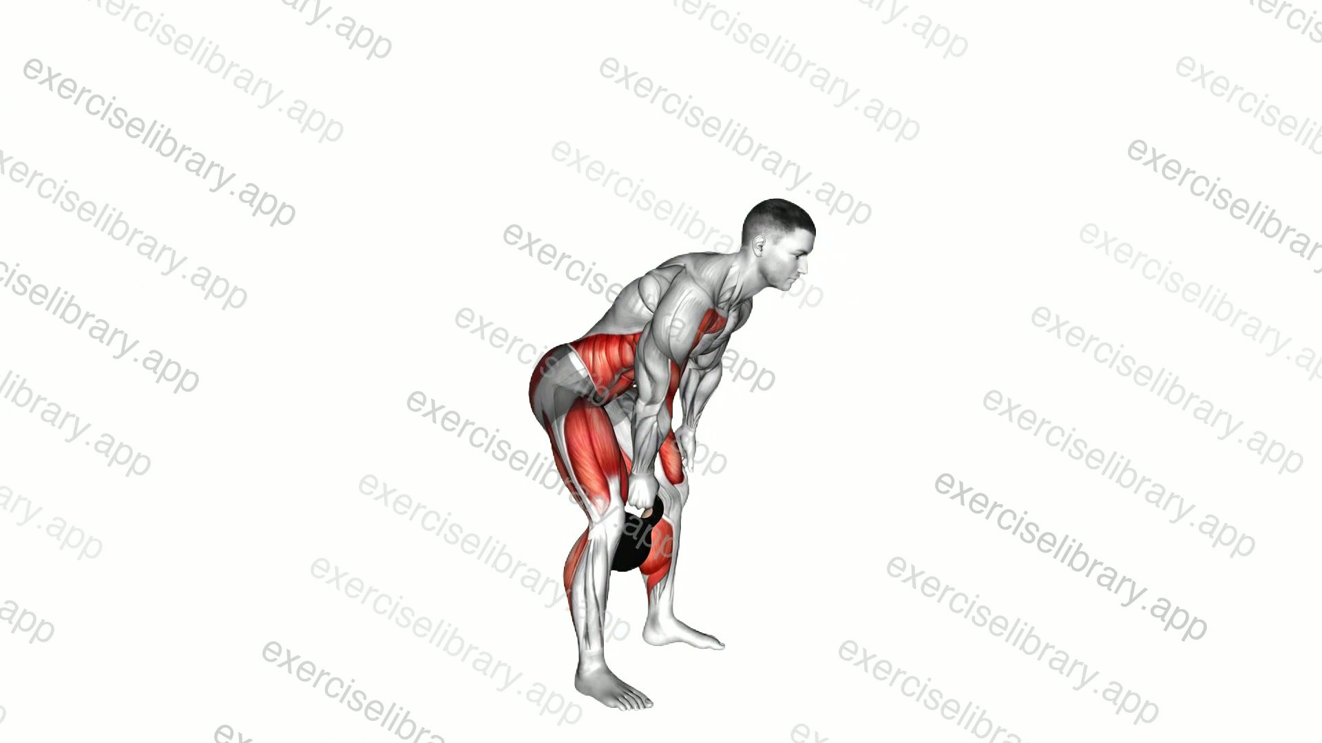 Kettlebell Hang Clean demonstration