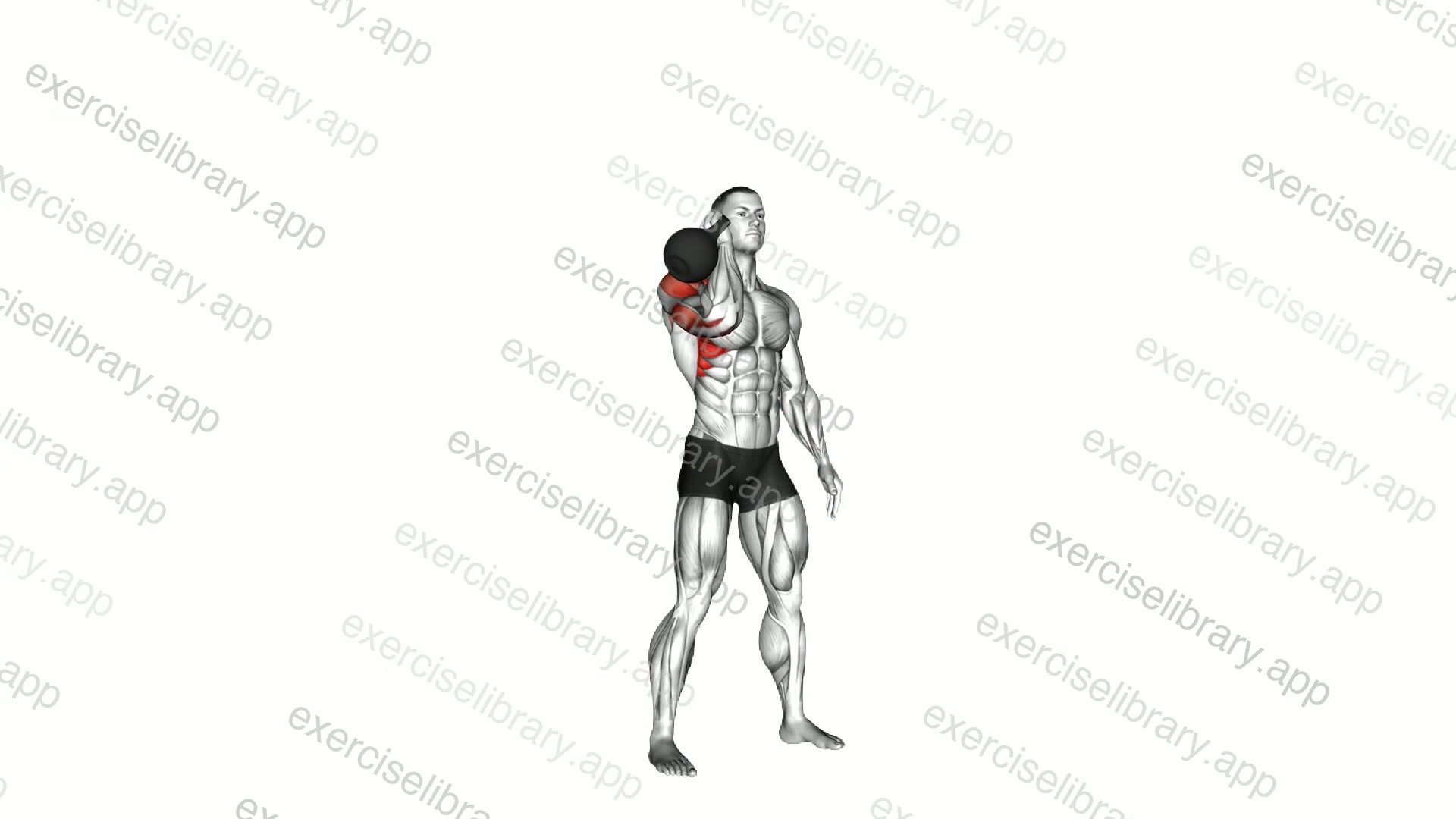 Kettlebell One Arm Military Press To Side demonstration