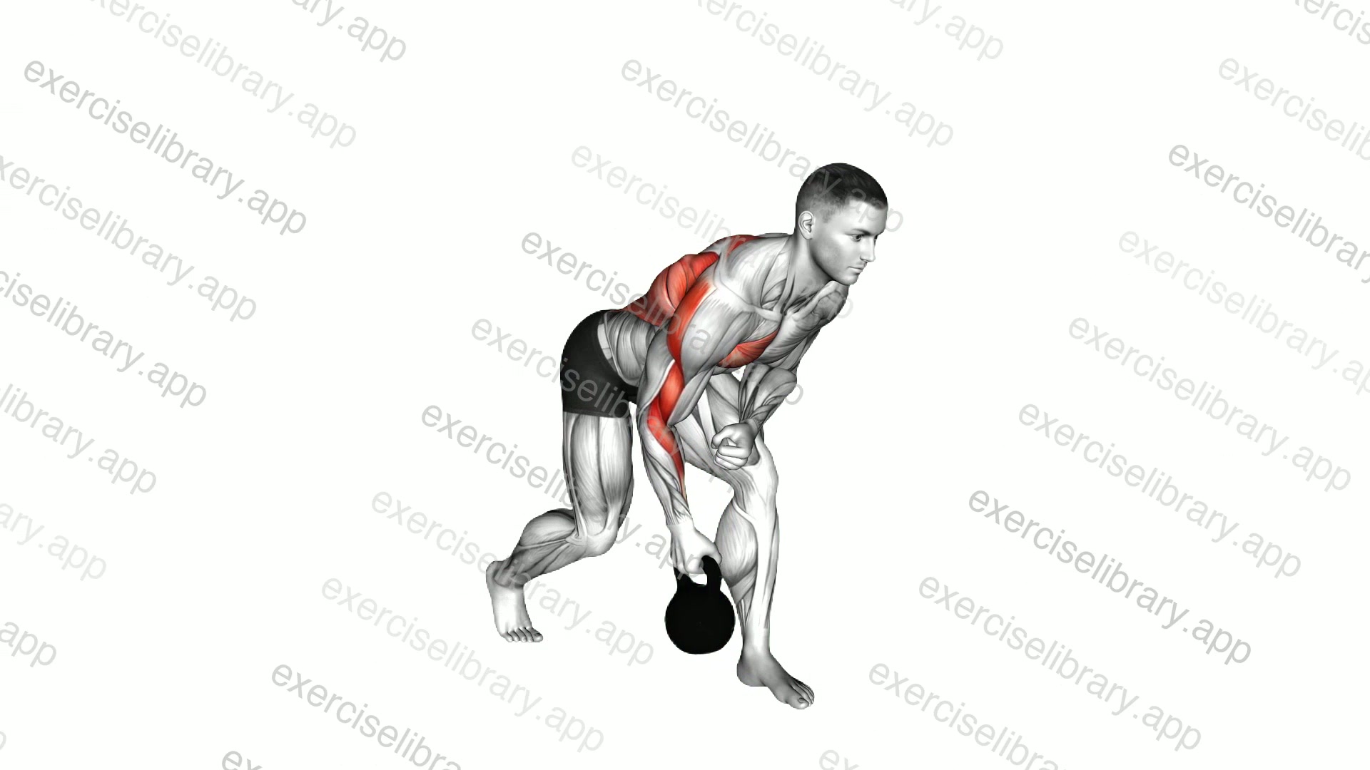 Kettlebell One Arm Row demonstration