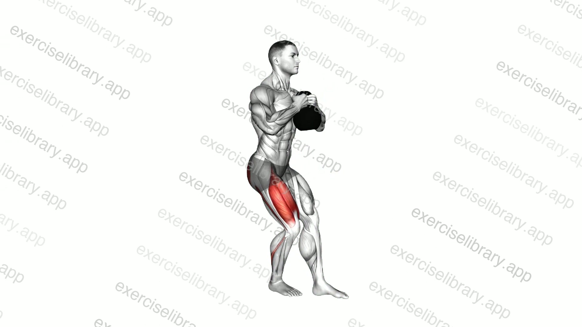 Kettlebell Pistol Squat demonstration