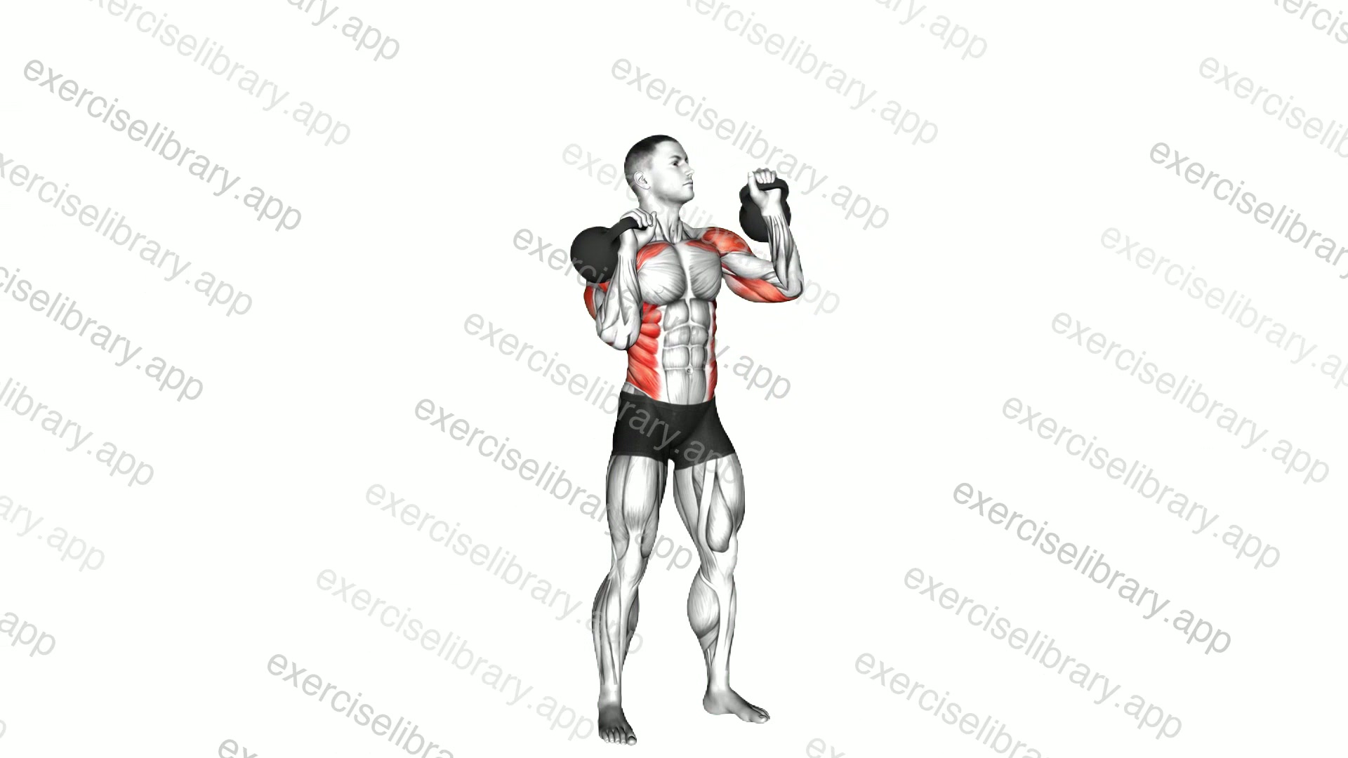Kettlebell Seesaw Press demonstration