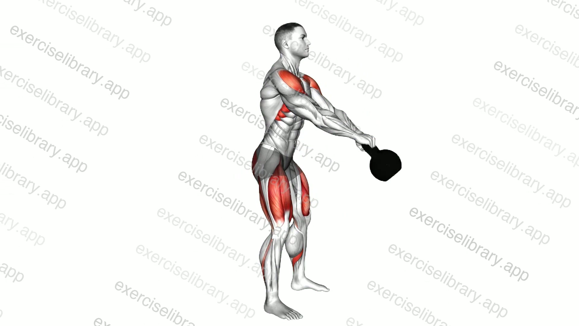 Kettlebell Swing demonstration