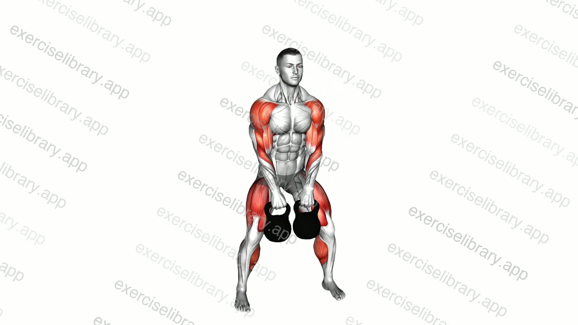 Kettlebell Two Arm Clean demonstration