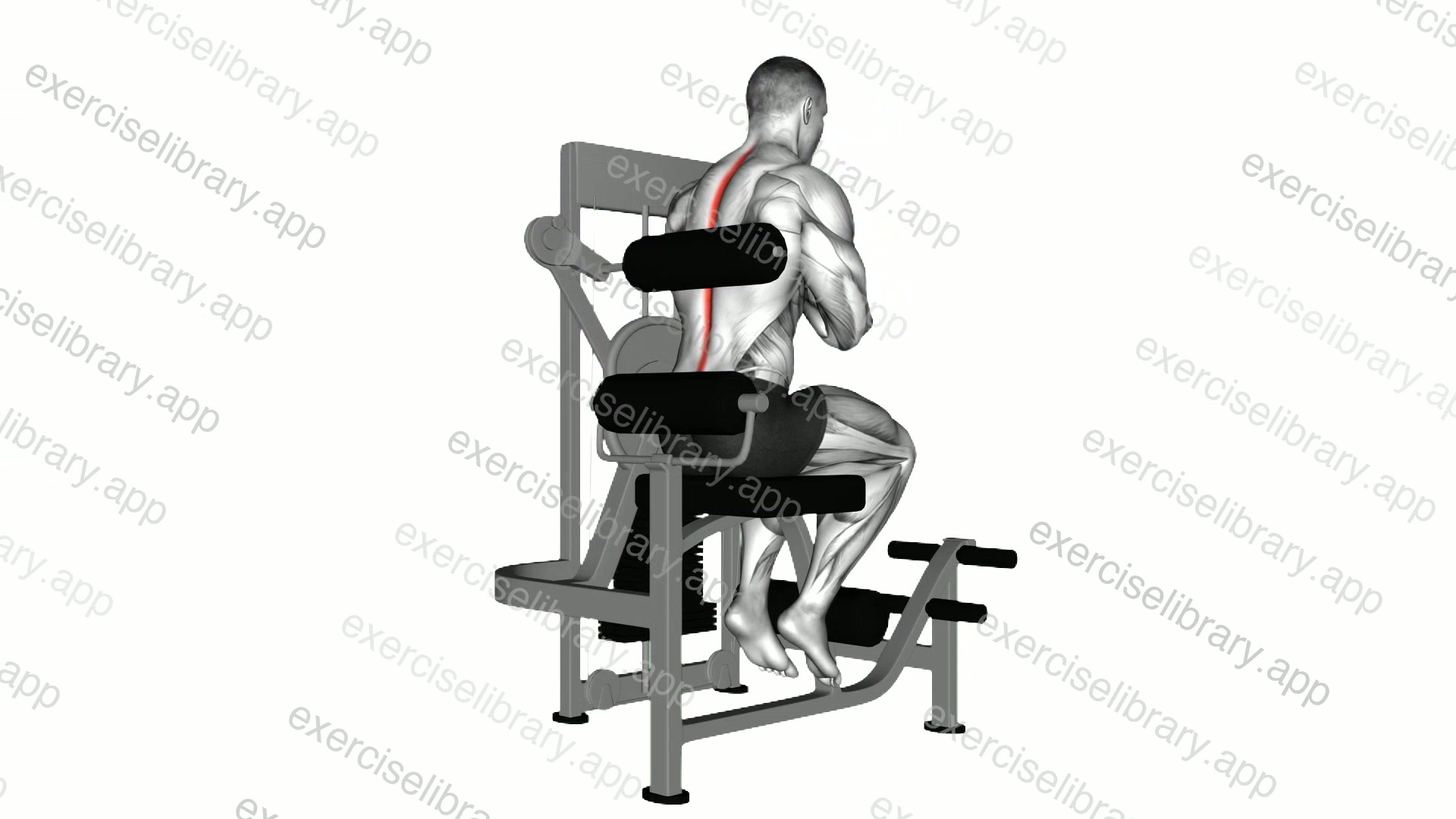 Lever Back Extension demonstration