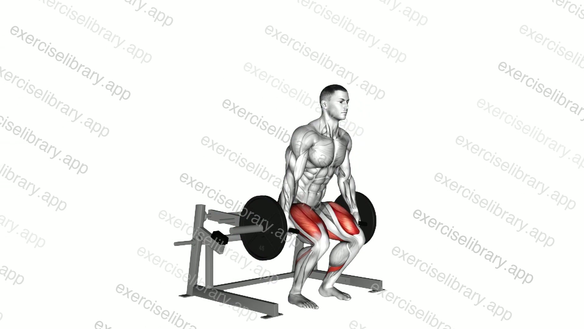 Lever Deadlift demonstration