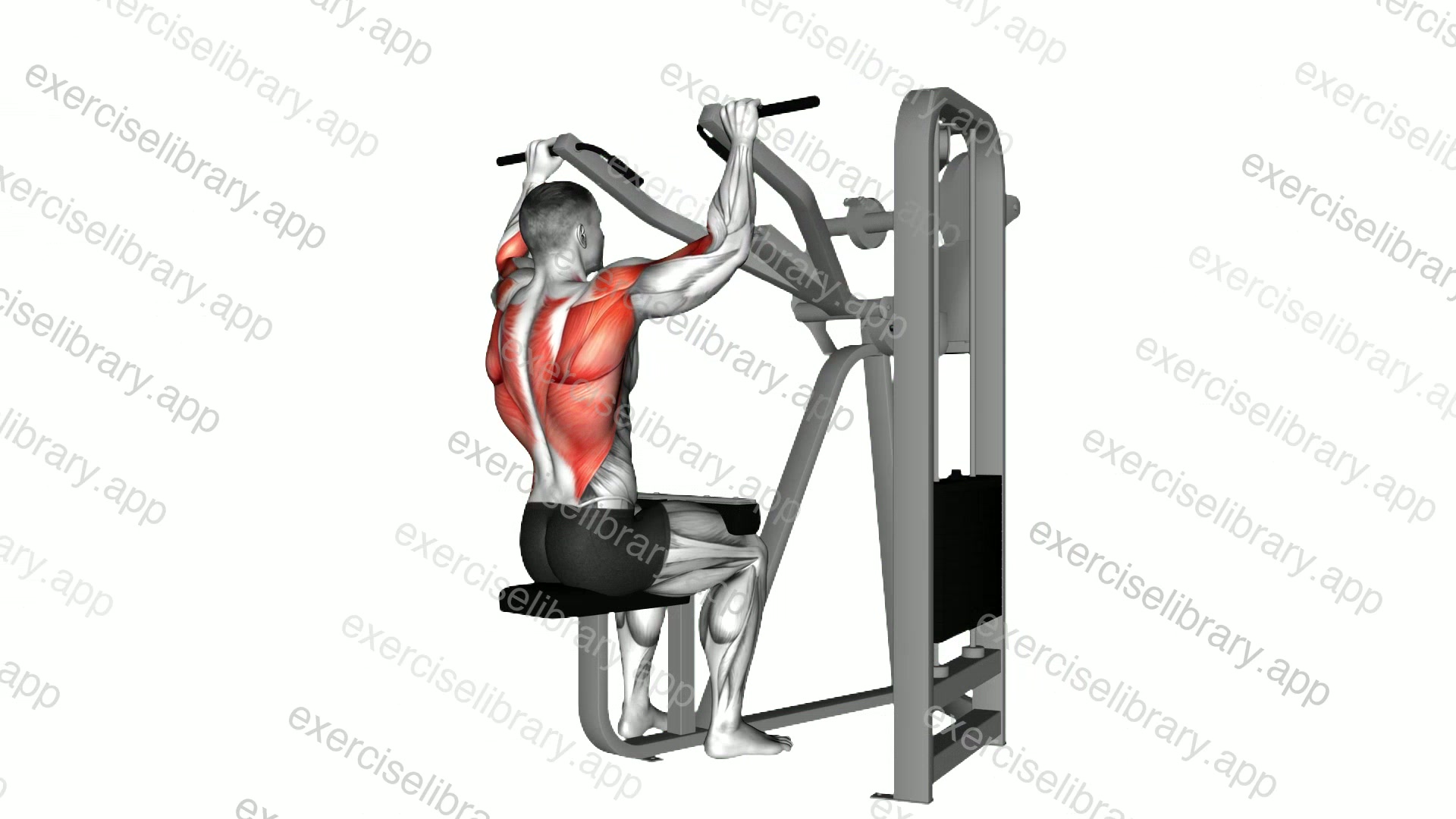 Lever Front Pulldown demonstration