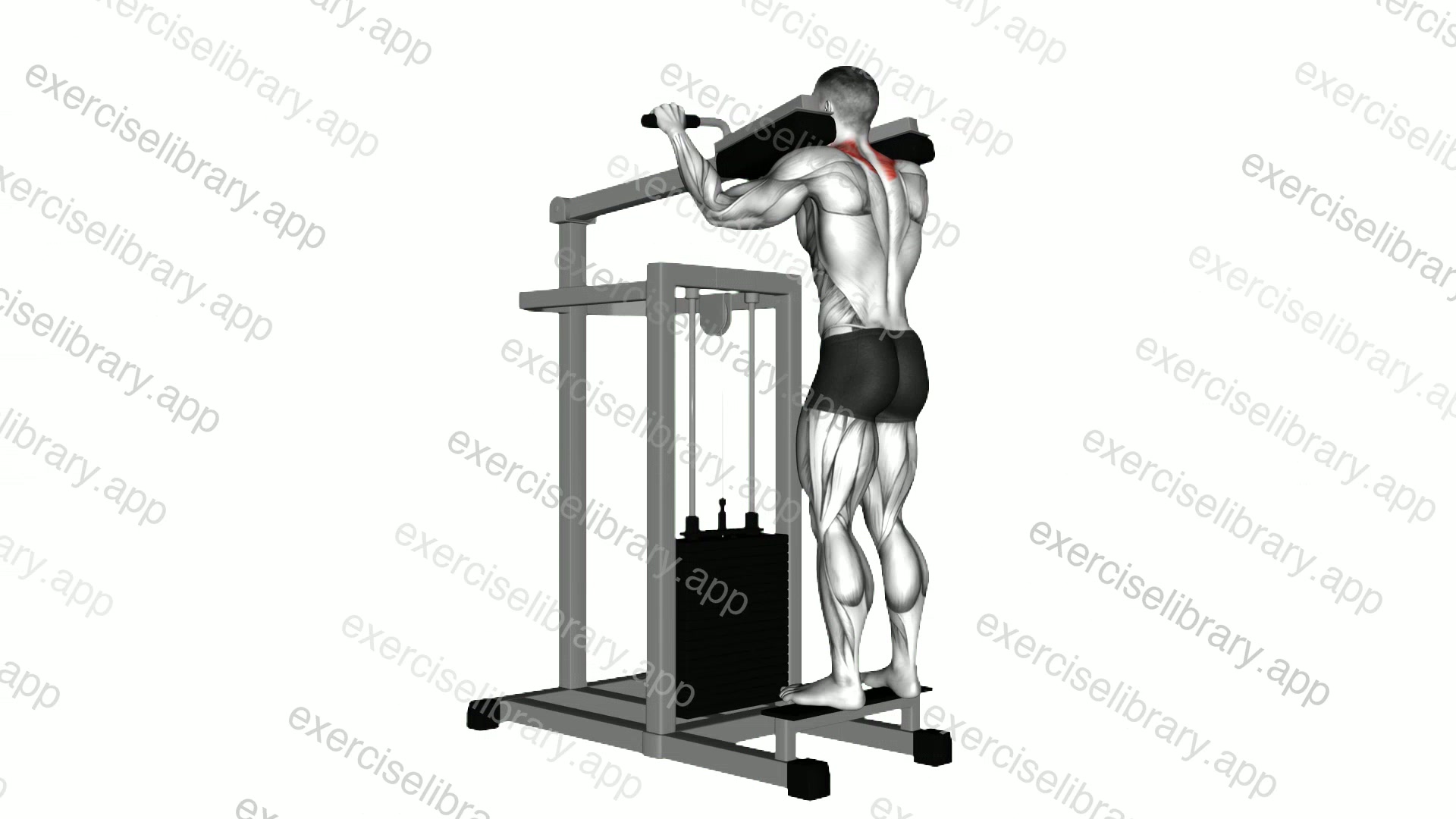 Lever Gripless Shrug demonstration