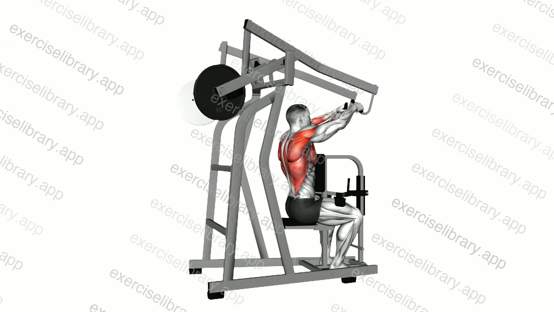 Lever High Row demonstration