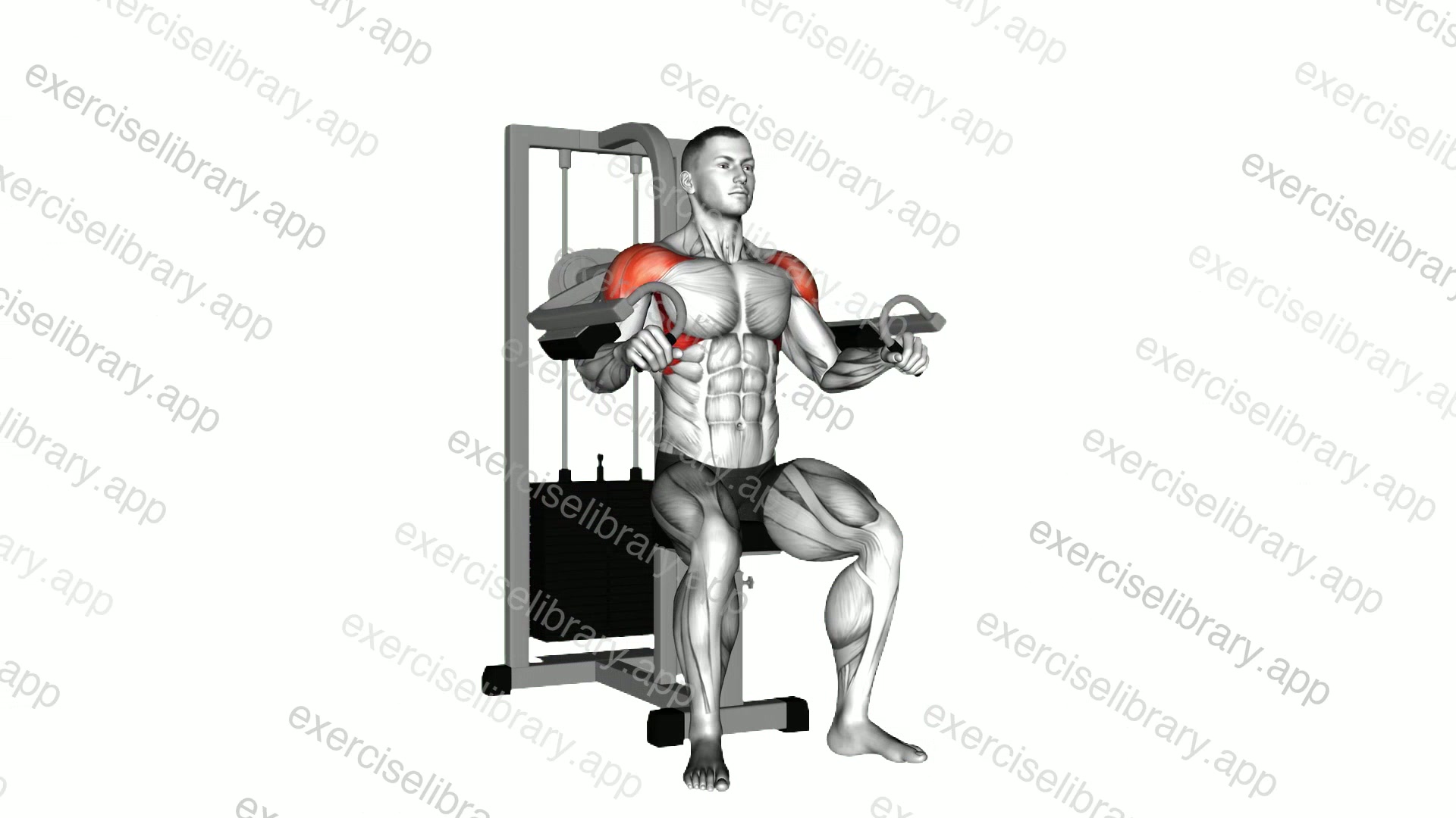 Lever Lateral Raise demonstration