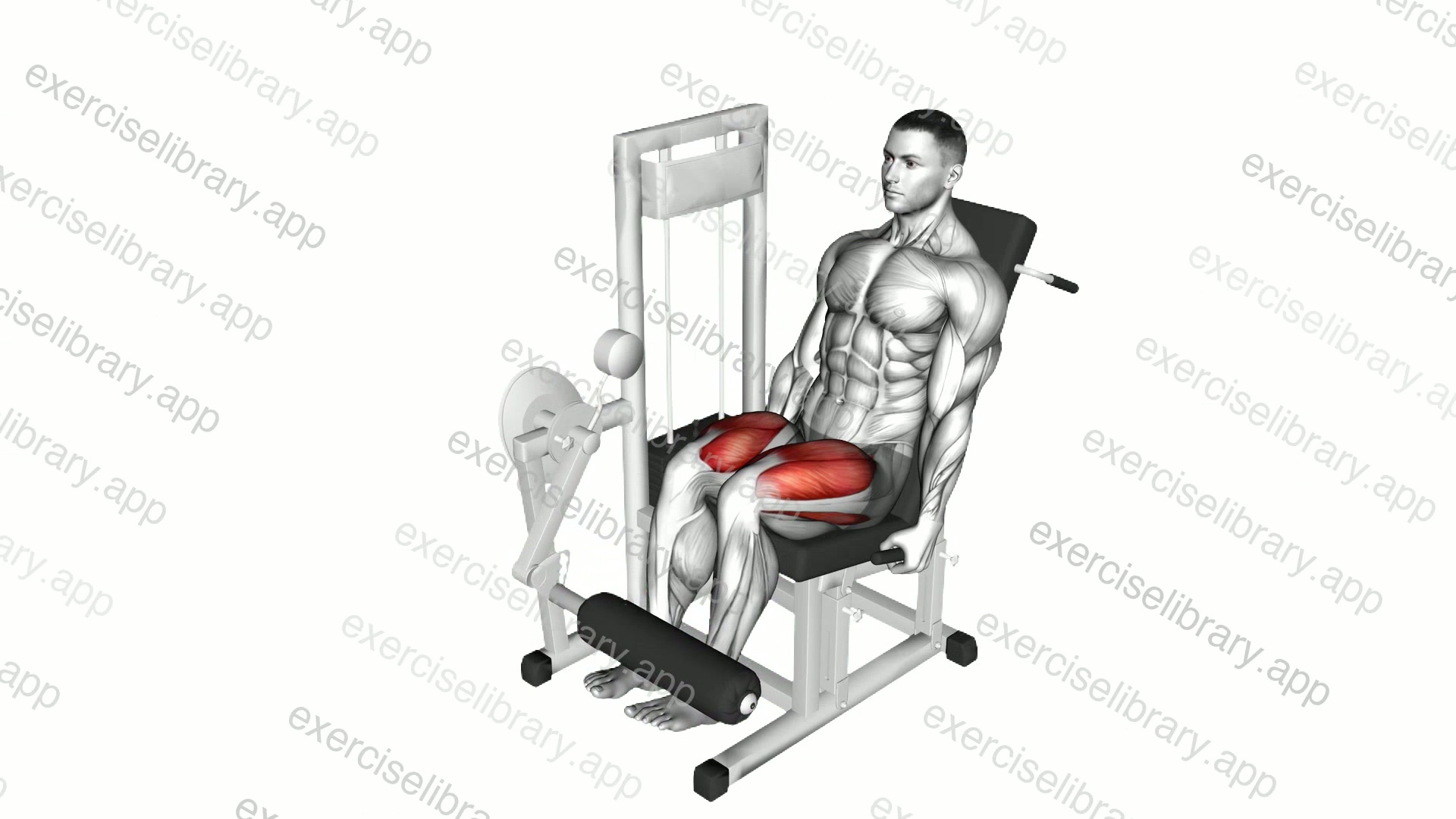 Lever Leg Extension demonstration