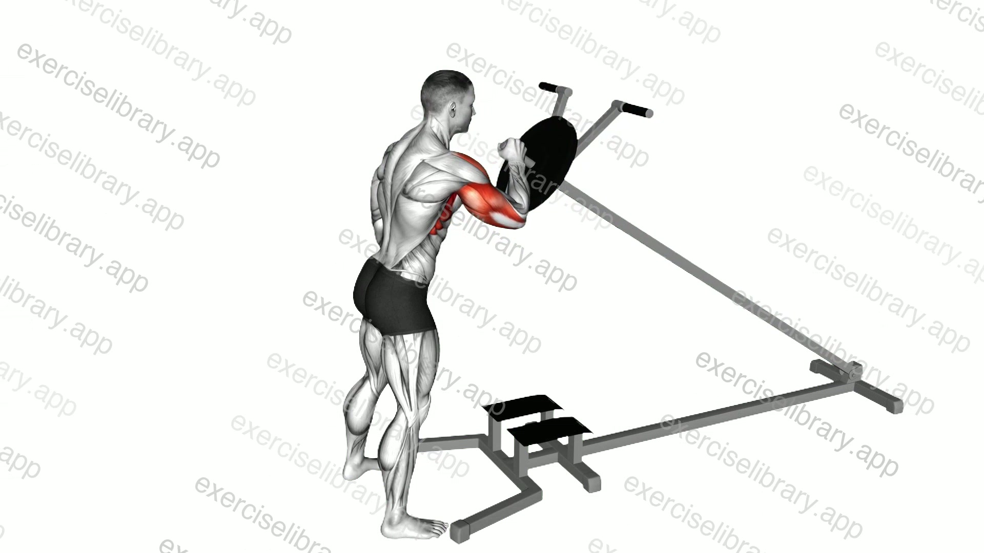 Lever One Arm Shoulder Press demonstration