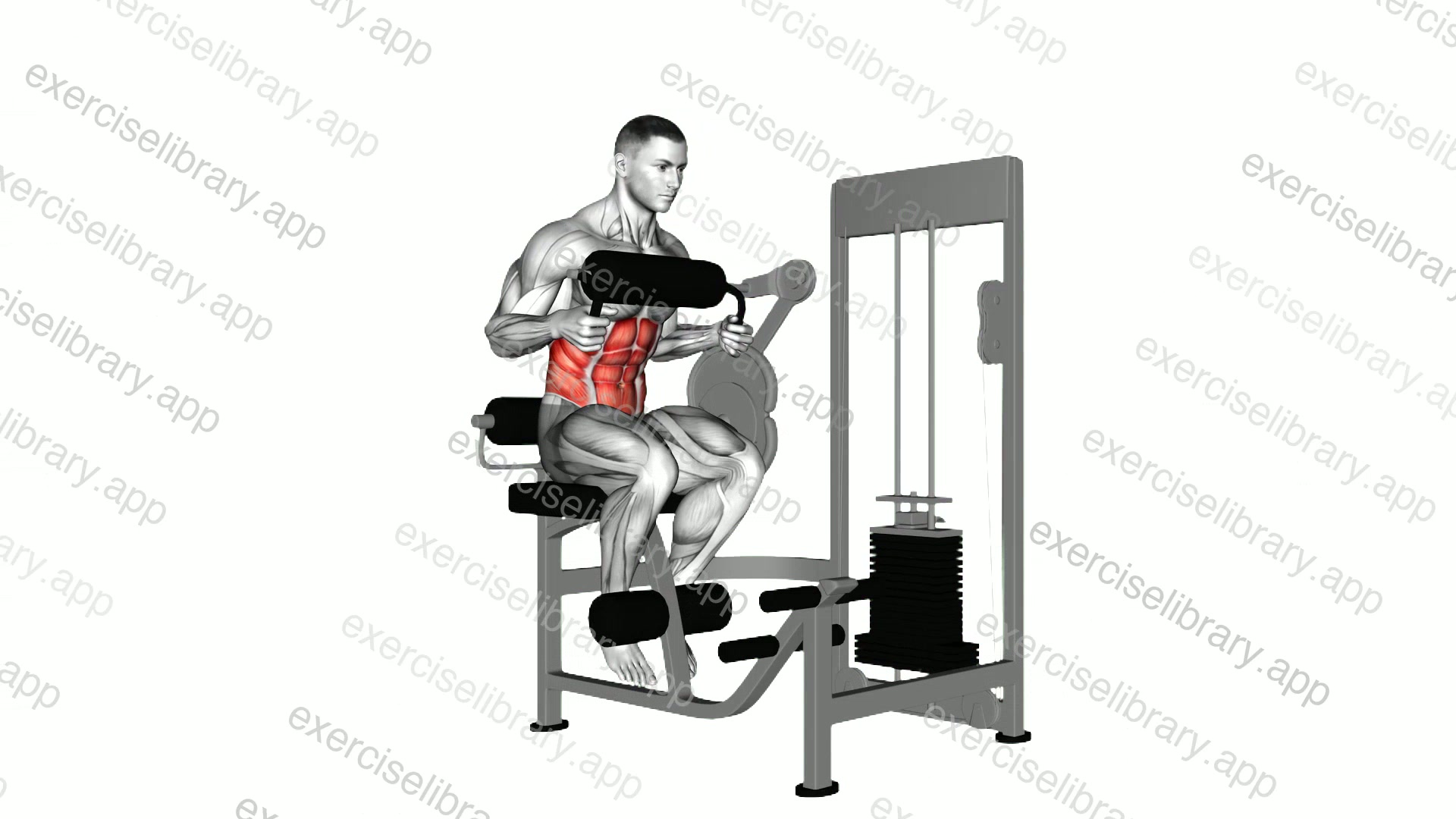 Lever Seated Crunch demonstration