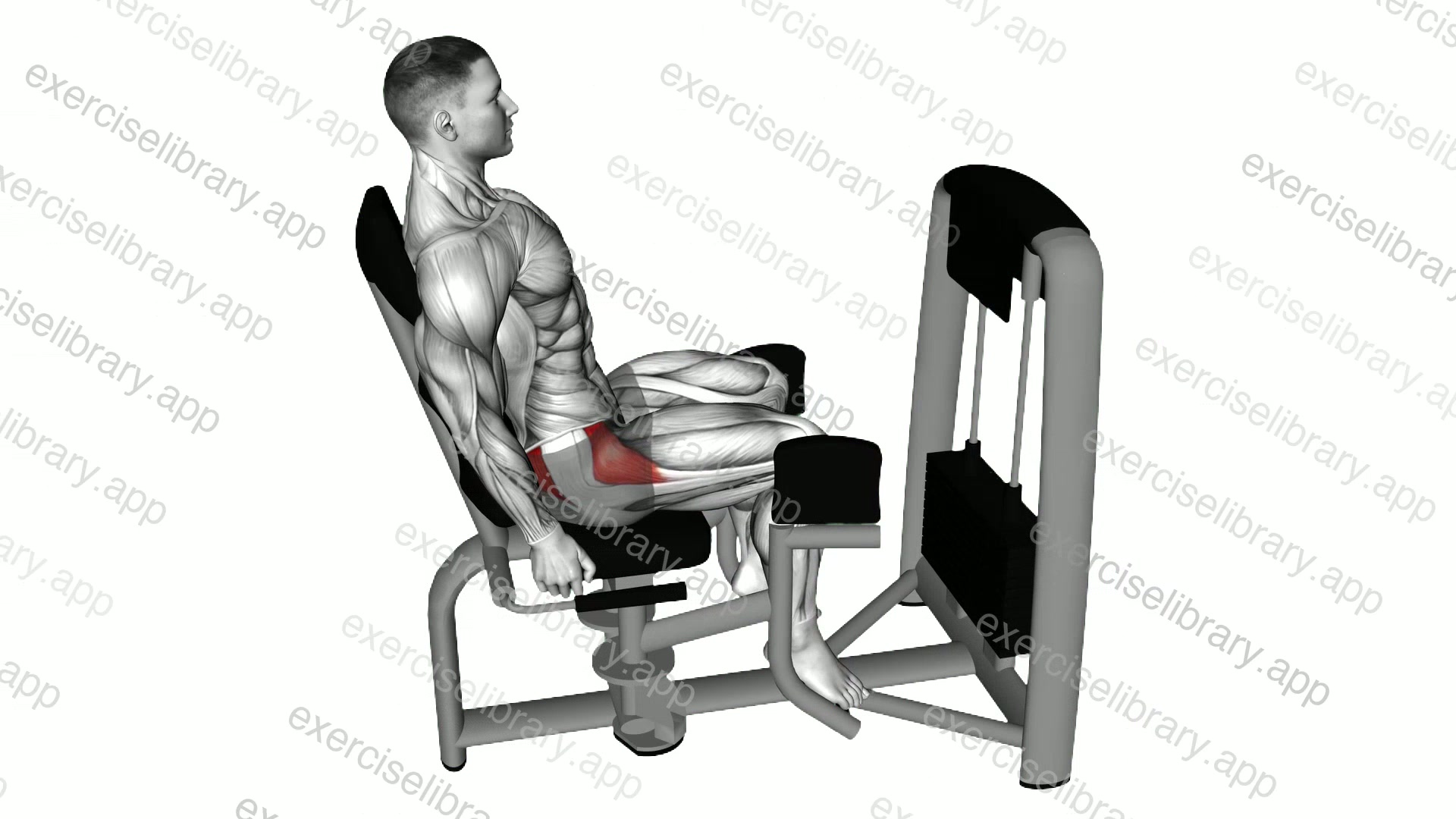 Lever Seated Hip Abduction demonstration