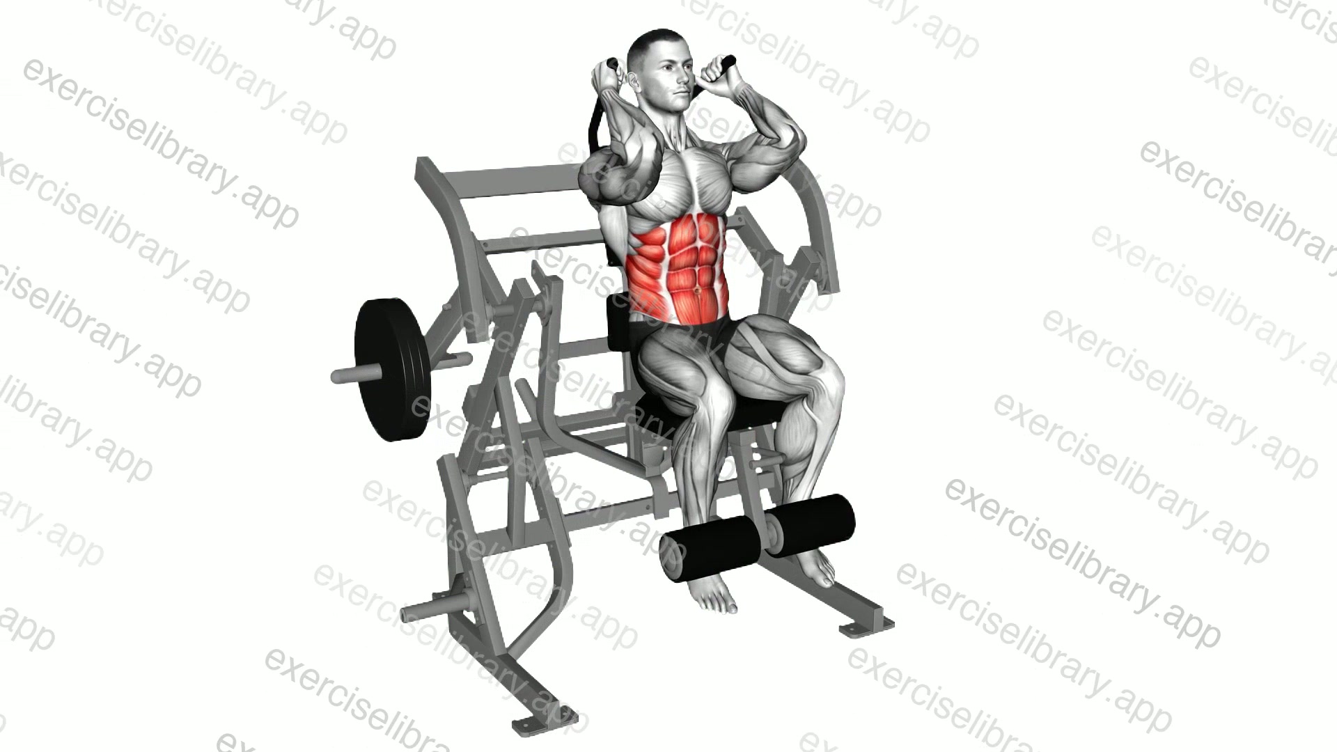Lever Seated Leg Raise Crunch demonstration