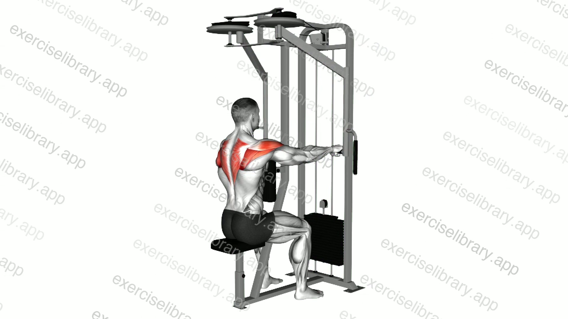 Lever Seated Reverse Fly demonstration