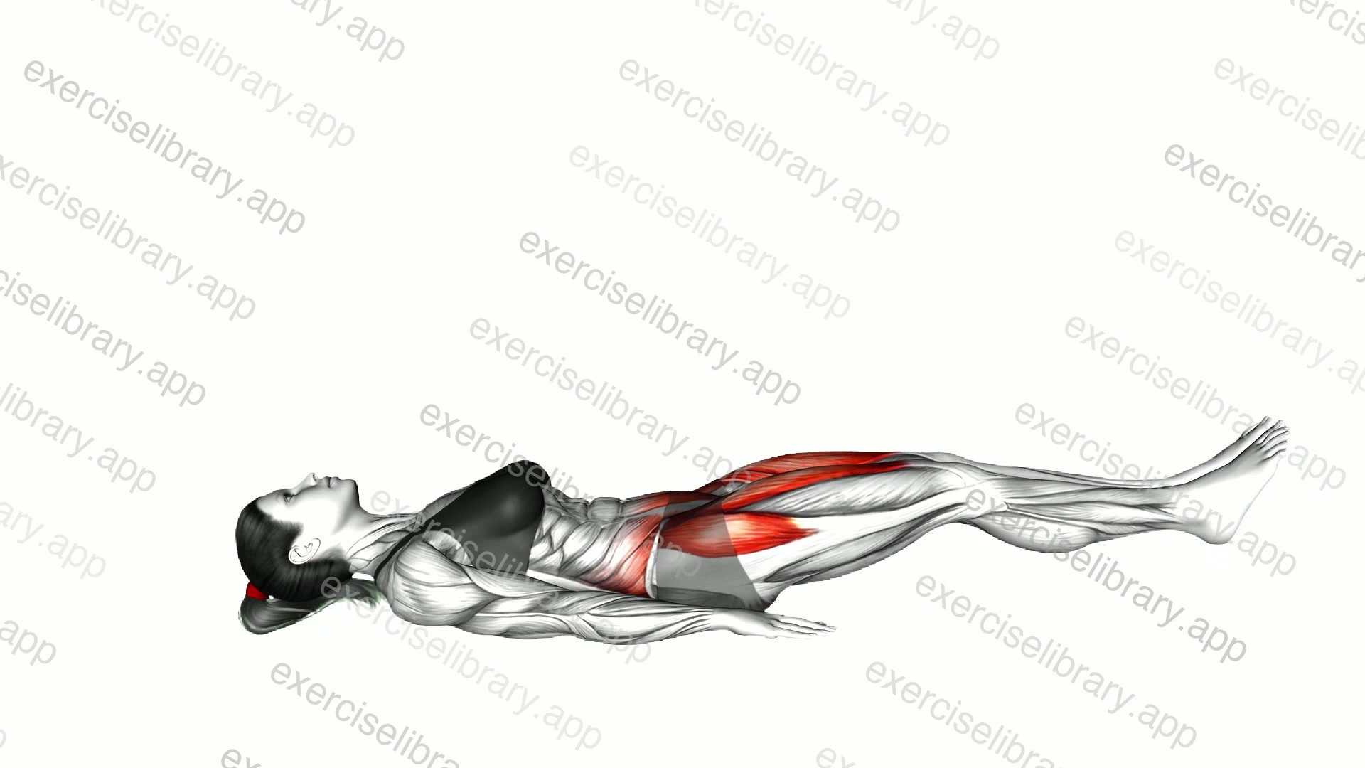 Lying Hip Leg Raise demonstration