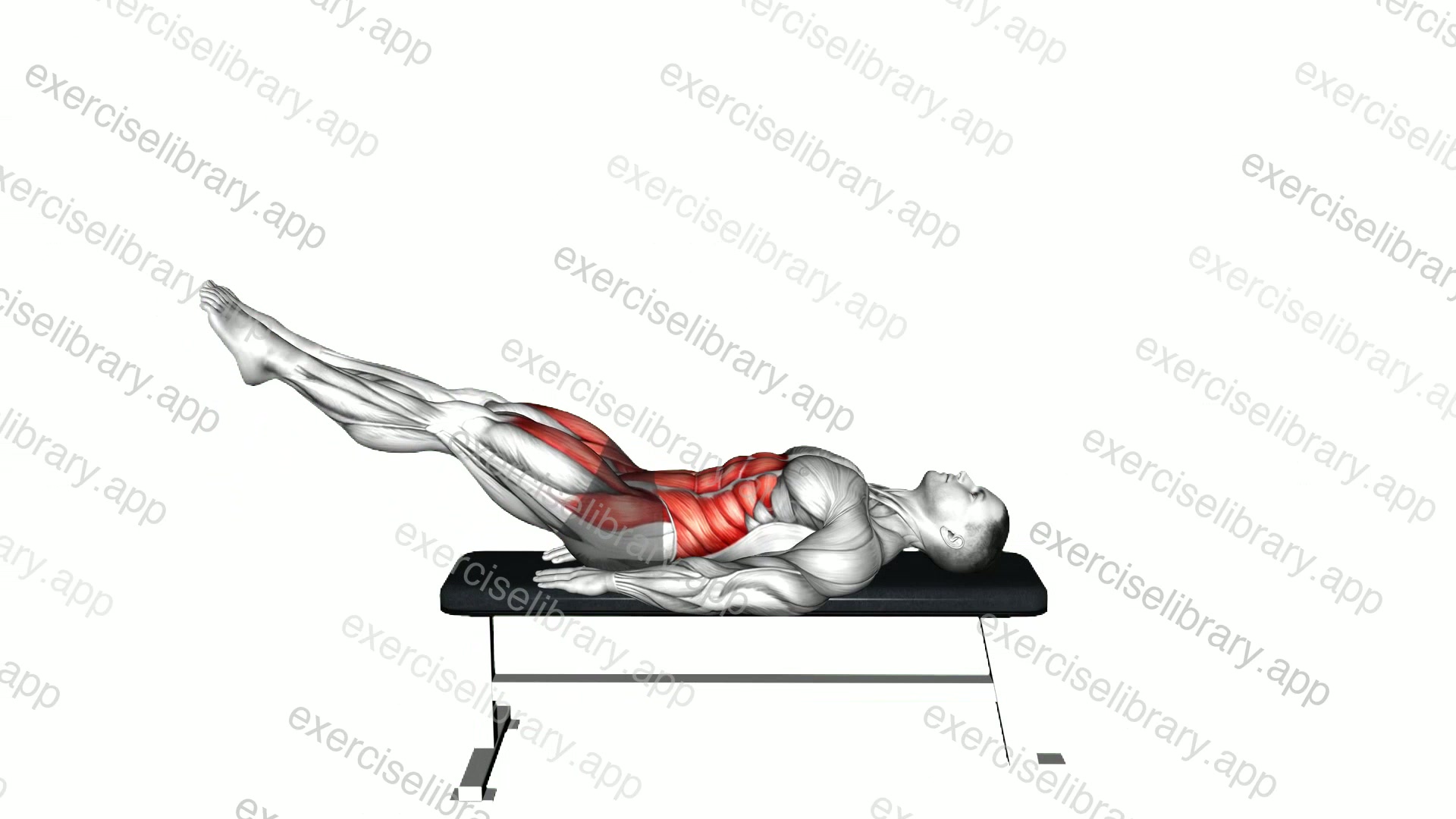 Lying Leg Raise Flat Bench demonstration