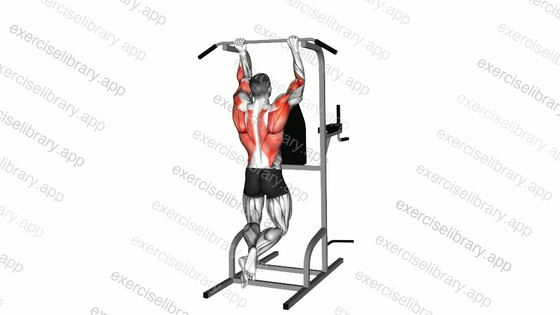 Mixed Grip Chin-up demonstration