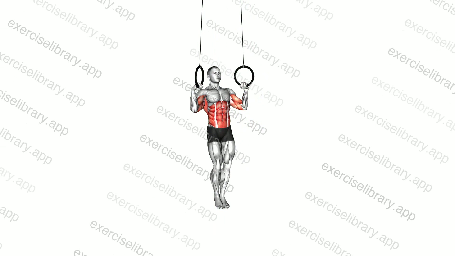 Muscle-up demonstration
