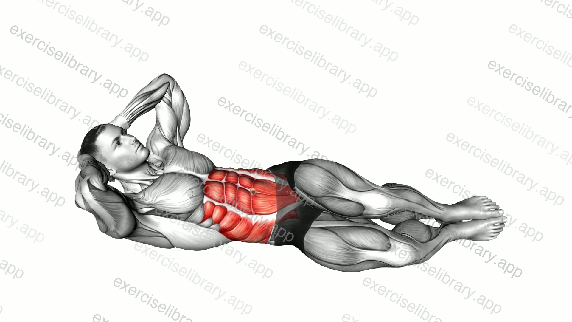 Oblique Crunches Floor demonstration
